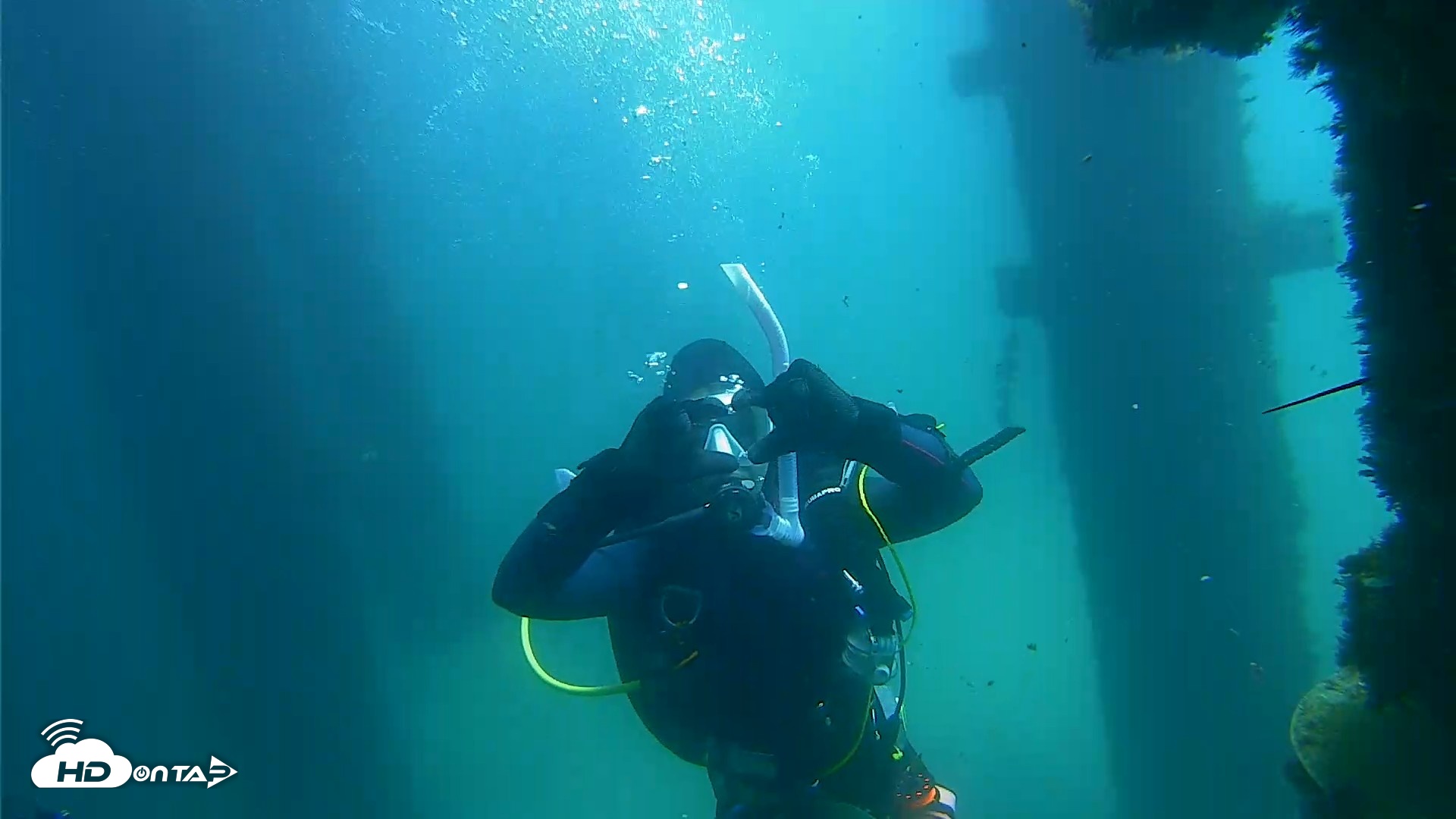 Snapshot of Scripps Pier Underwater Live Webcam taken Sep 17, 2026, 12:29pm PDT