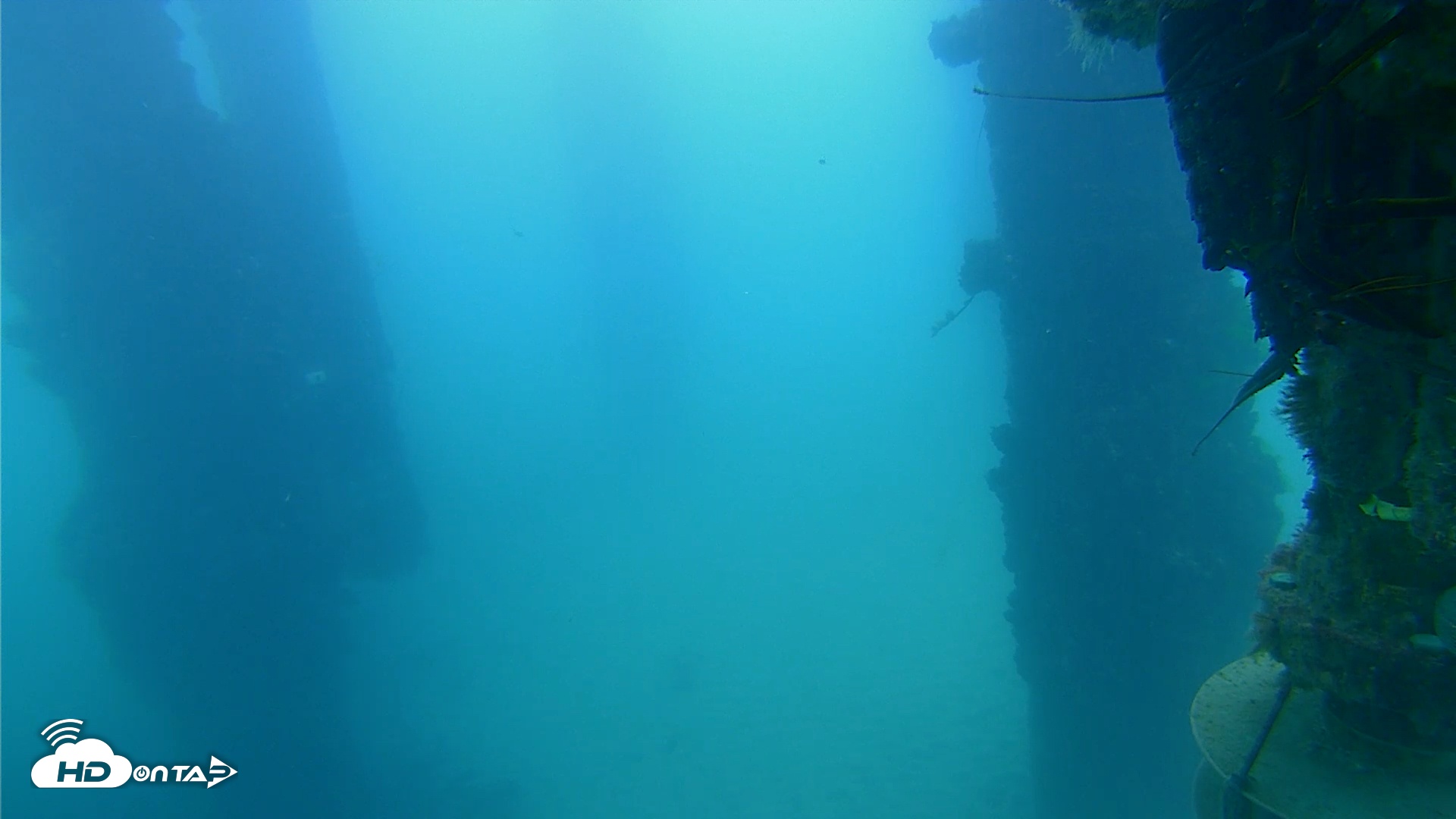 Snapshot of Scripps Pier Underwater Live Webcam taken Sep 10, 2025, 7:08am PDT