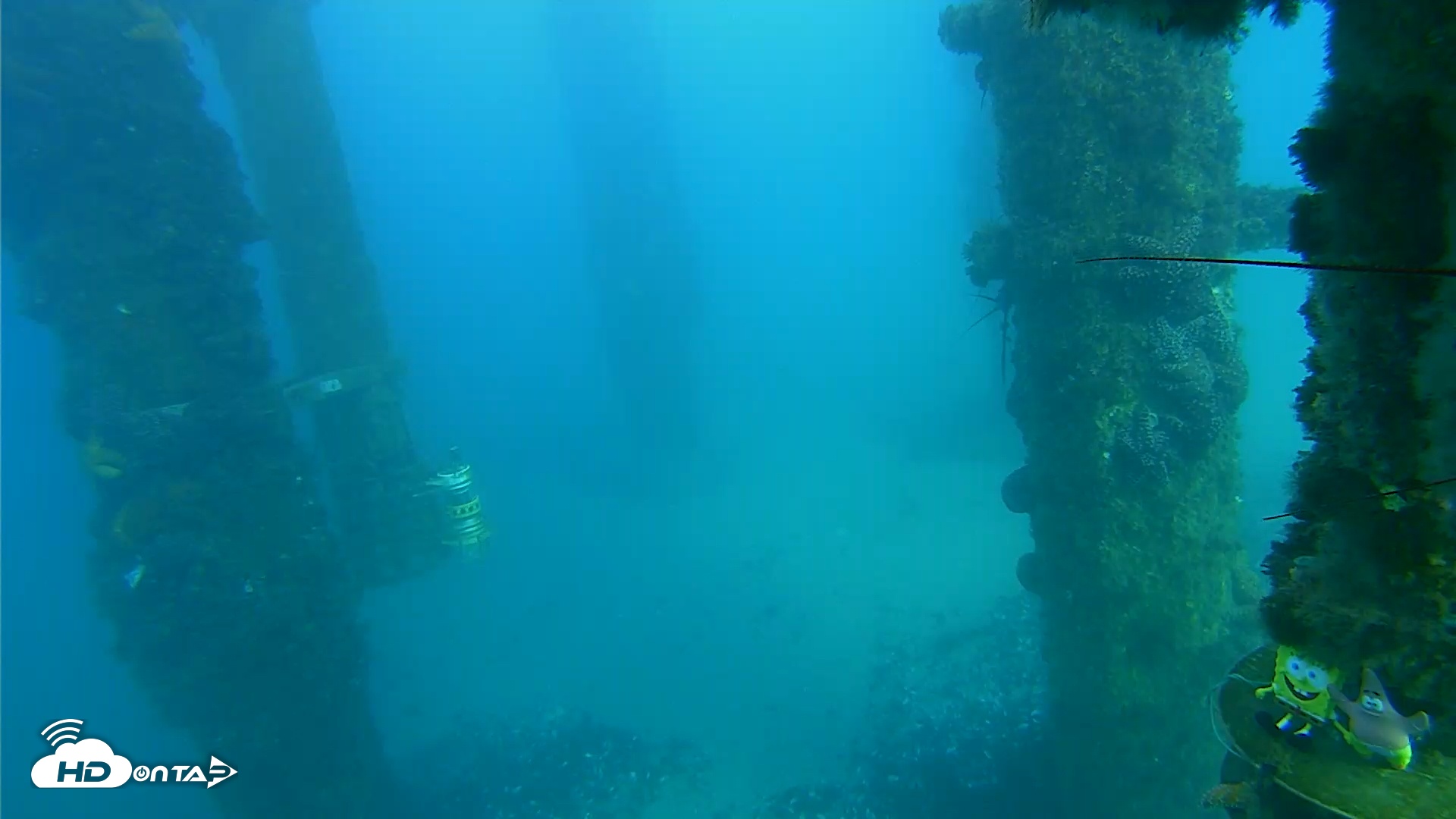 Snapshot of Scripps Pier Underwater Live Webcam taken Jan 11, 2026, 4:05pm PST