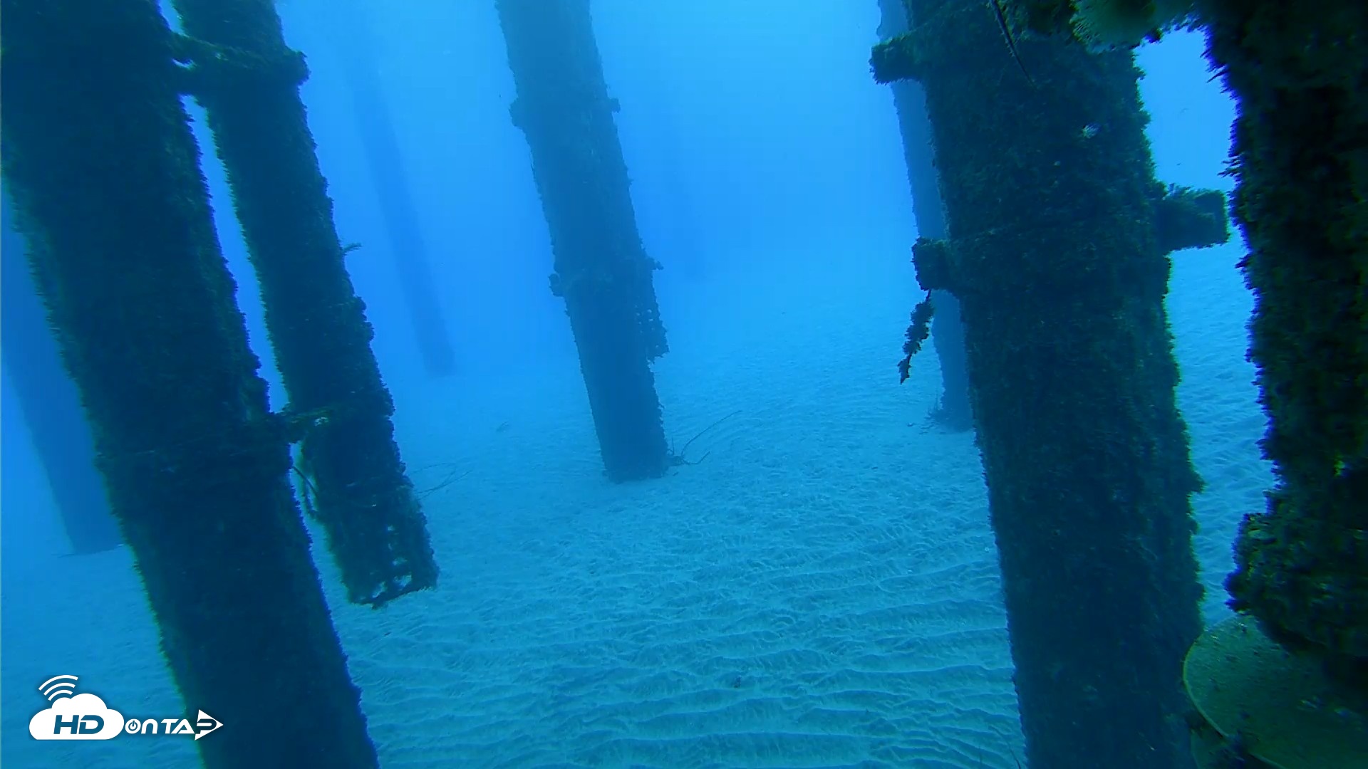 Snapshot of Scripps Pier Underwater Live Webcam taken Oct 18, 2026, 7:15am PDT