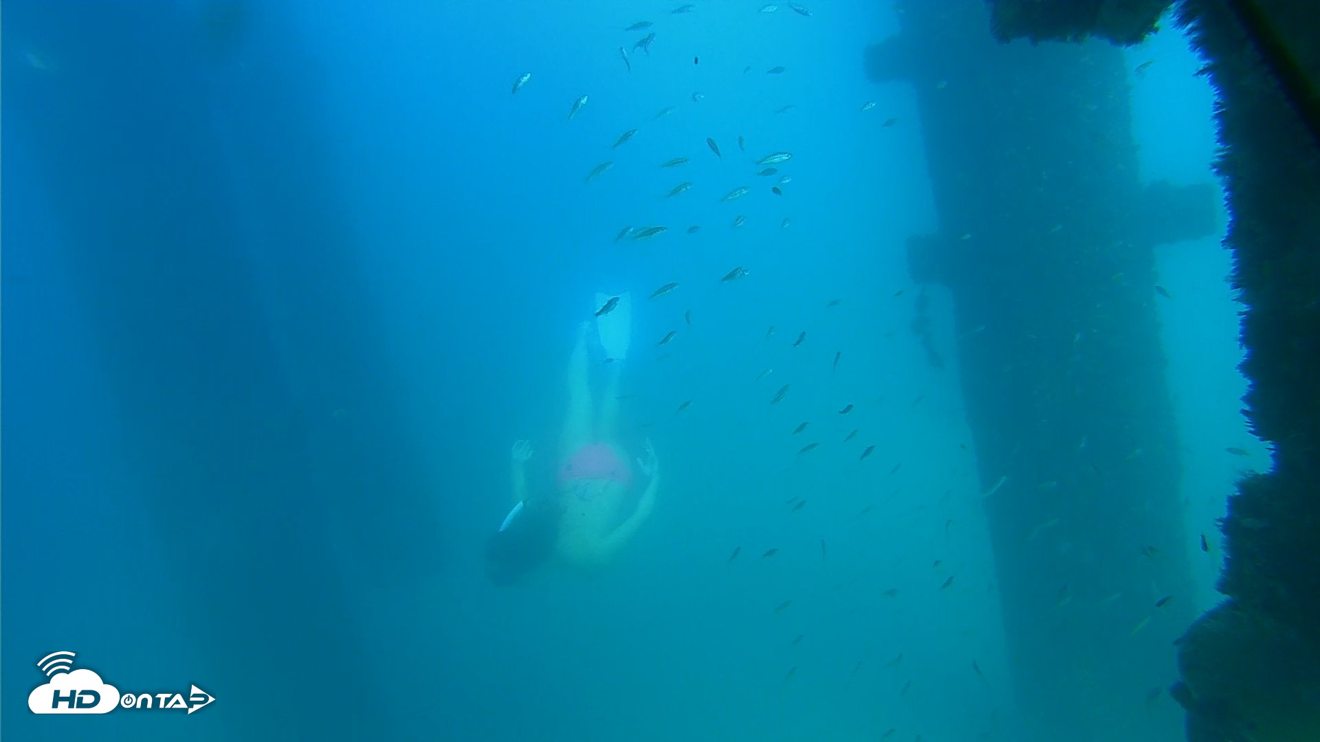 Snapshot of Scripps Pier Underwater Live Webcam taken Sep 16, 2026, 3:45pm PDT