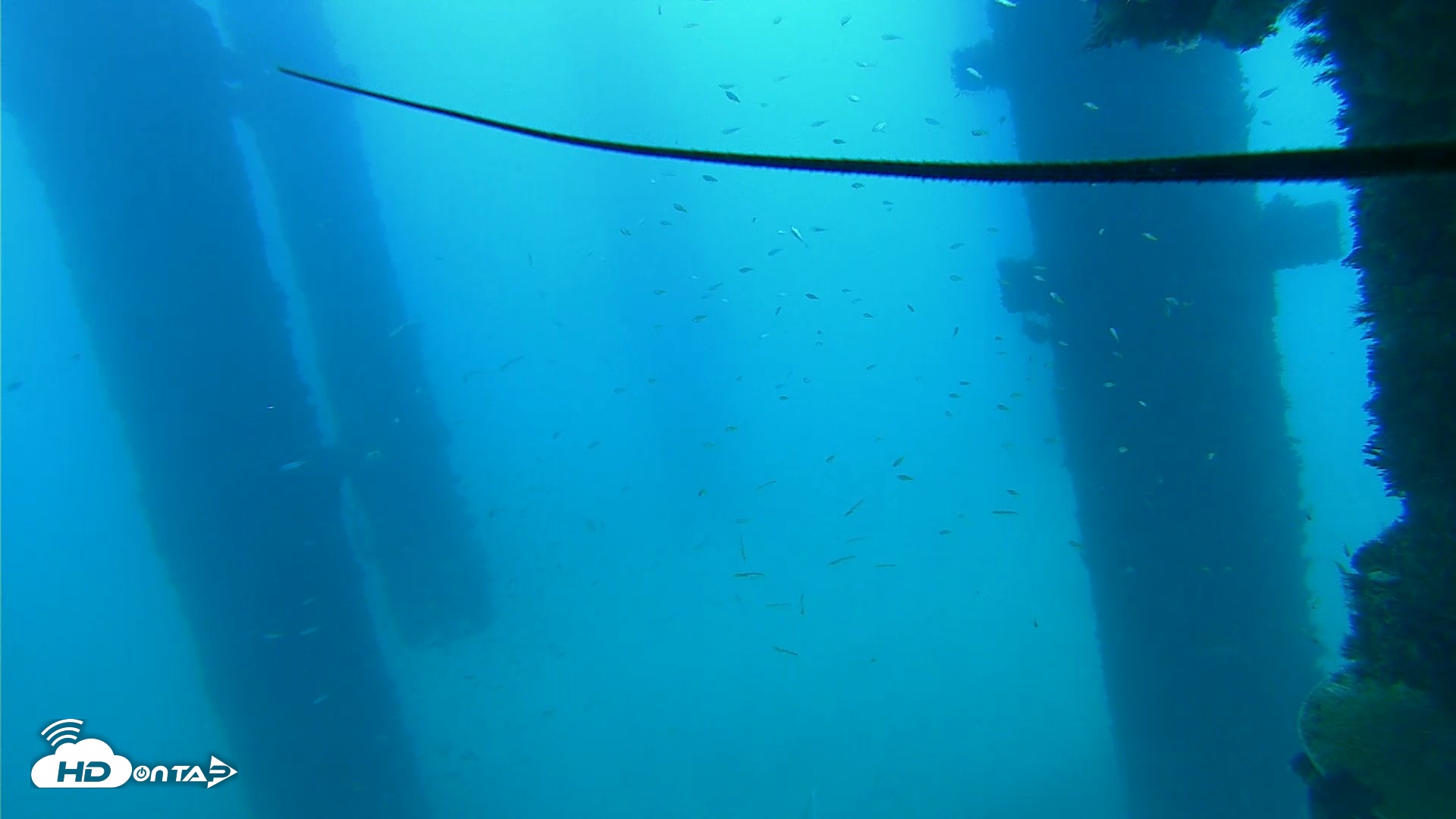 Snapshot of Scripps Pier Underwater Live Webcam taken Sep 16, 2026, 10:10am PDT