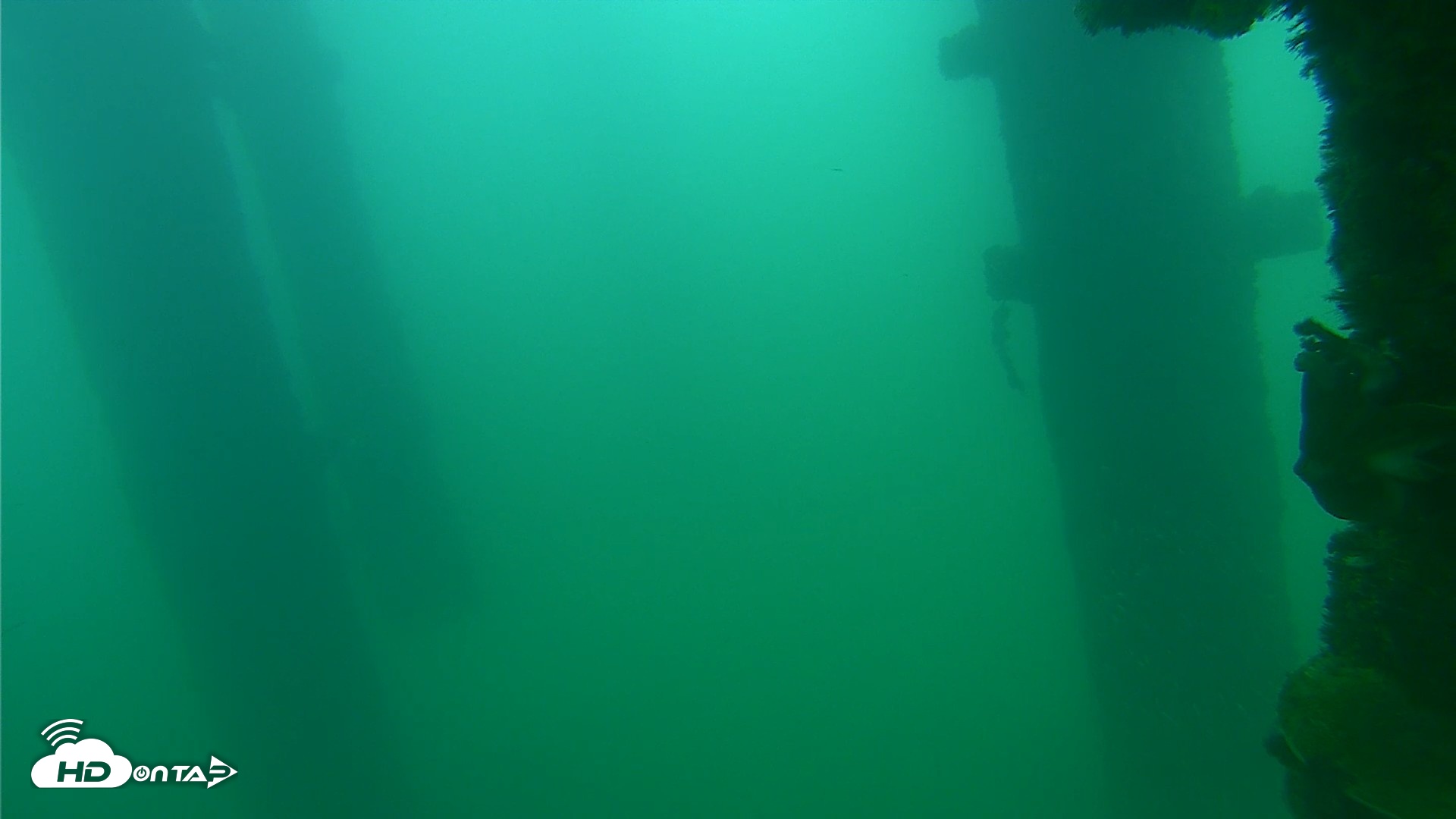 Snapshot of Scripps Pier Underwater Live Webcam taken Sep 24, 2026, 8:15am PDT