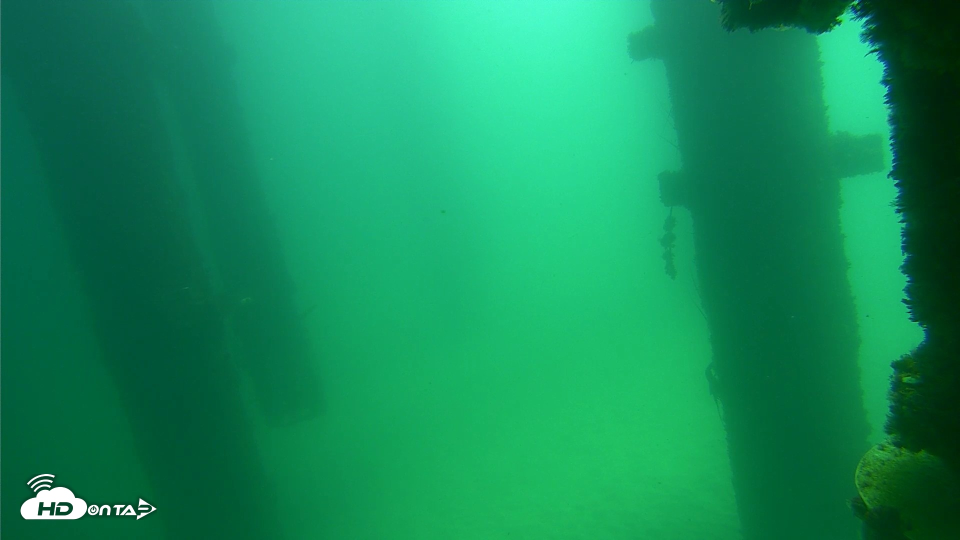 Snapshot of Scripps Pier Underwater Live Webcam taken Sep 17, 2026, 11:51am PDT