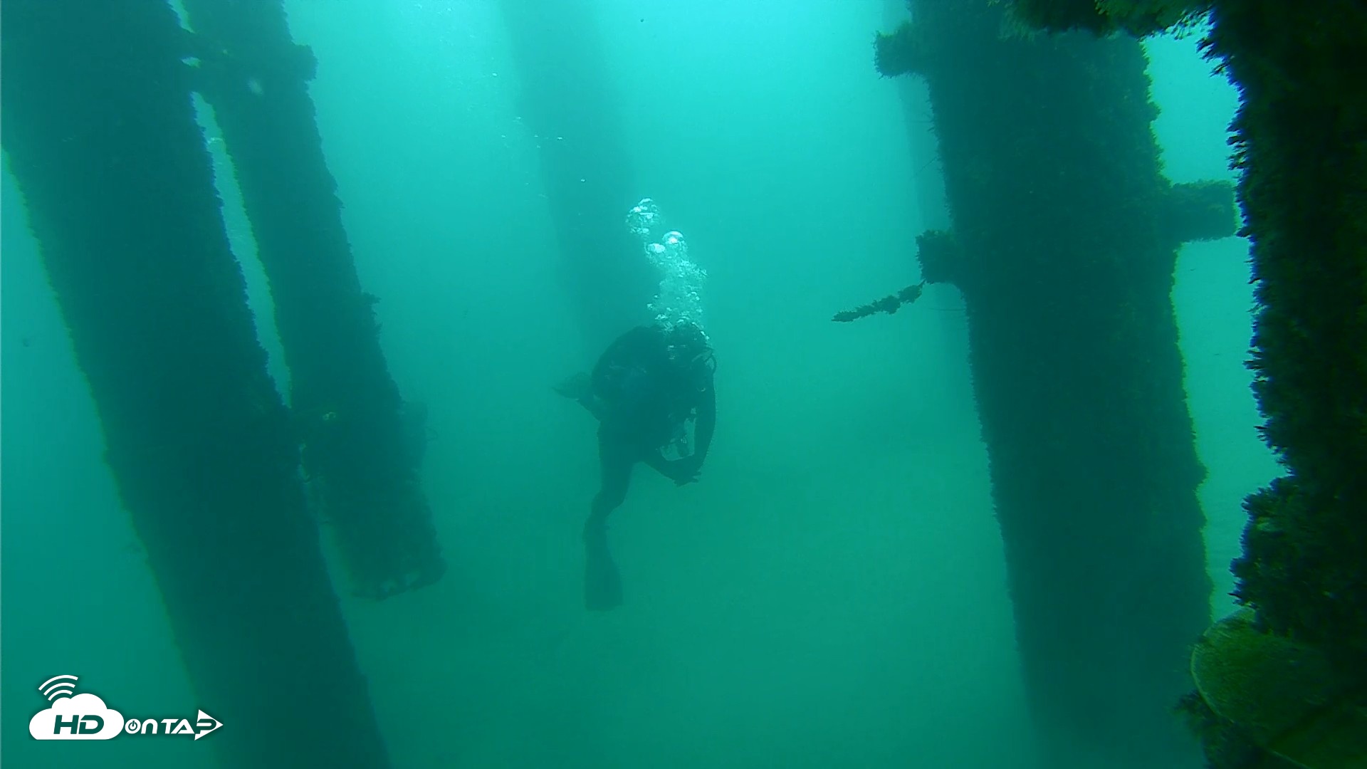 Snapshot of Scripps Pier Underwater Live Webcam taken Oct 8, 2026, 9:32am PDT