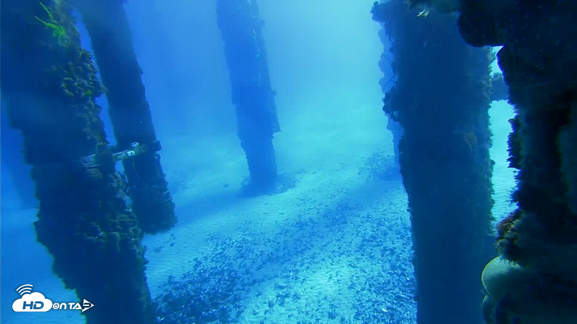 Snapshot of Scripps Pier Underwater Live Webcam taken Feb 2, 2026, 9:55am PST