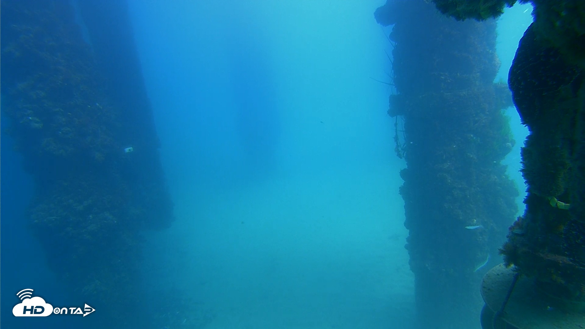 Snapshot of Scripps Pier Underwater Live Webcam taken Sep 18, 2025, 1:54pm PDT
