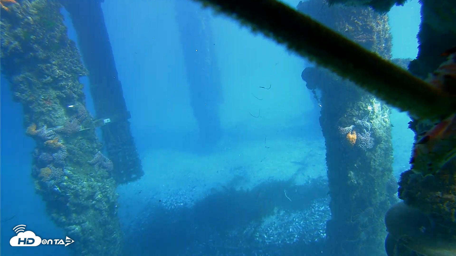 Snapshot of Scripps Pier Underwater Live Webcam taken Jan 17, 2026, 2:09pm PST