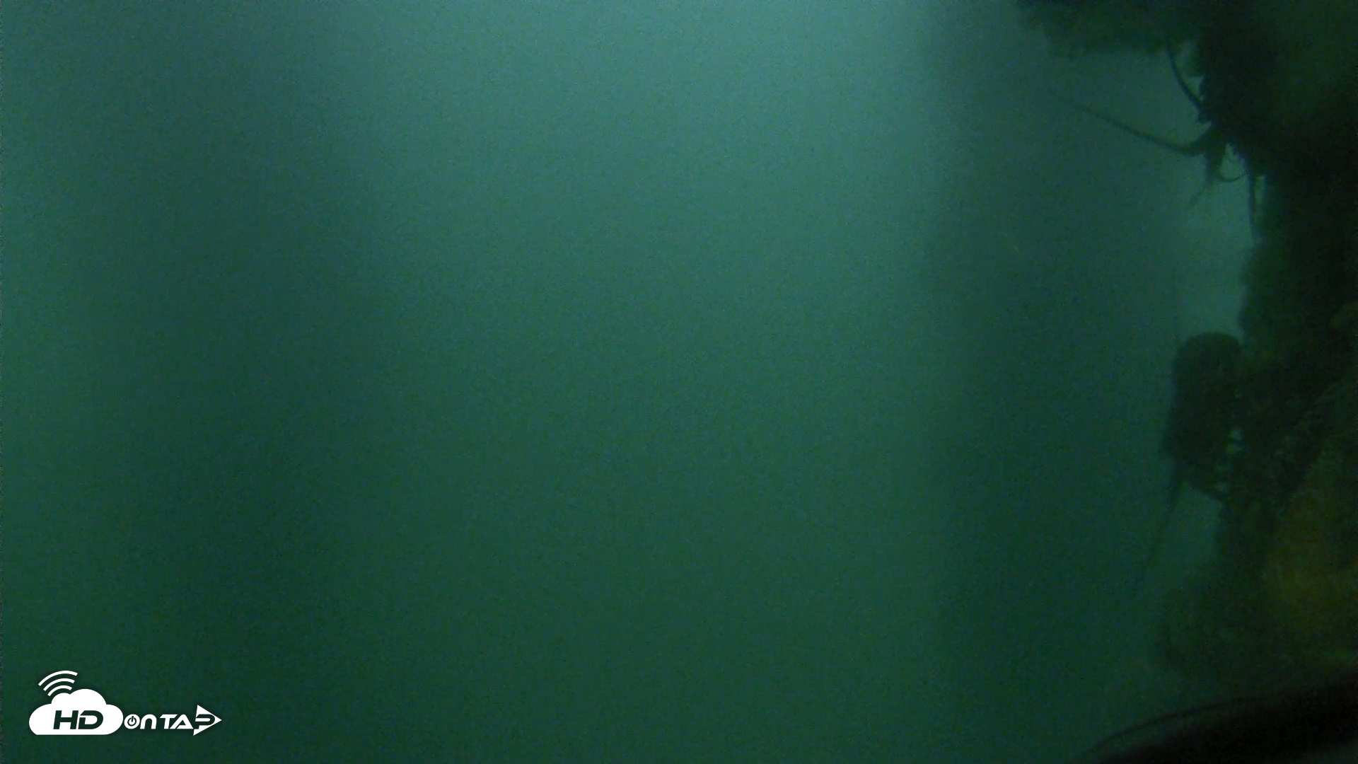 Snapshot of Scripps Pier Underwater Live Webcam taken Jul 12, 2025, 8:12pm PDT