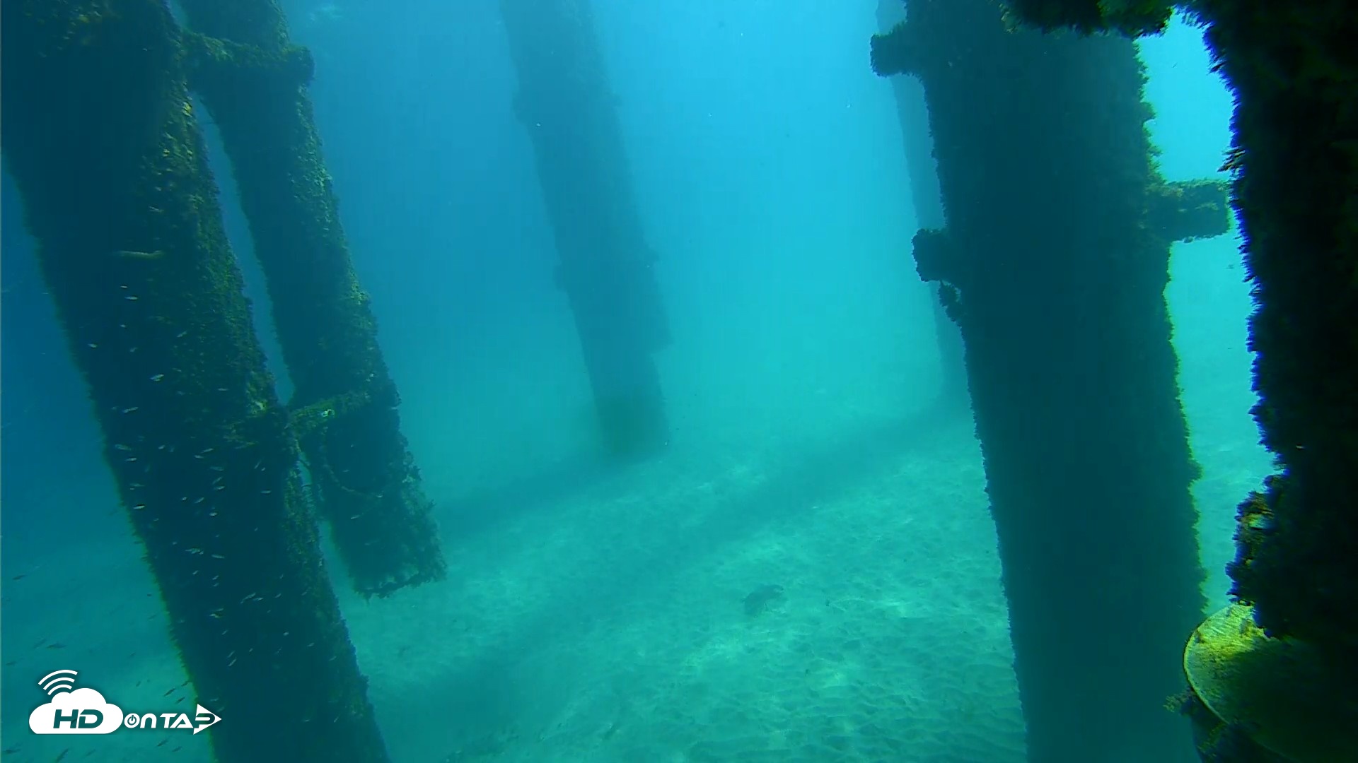 Snapshot of Scripps Pier Underwater Live Webcam taken Oct 7, 2026, 11:12am PDT