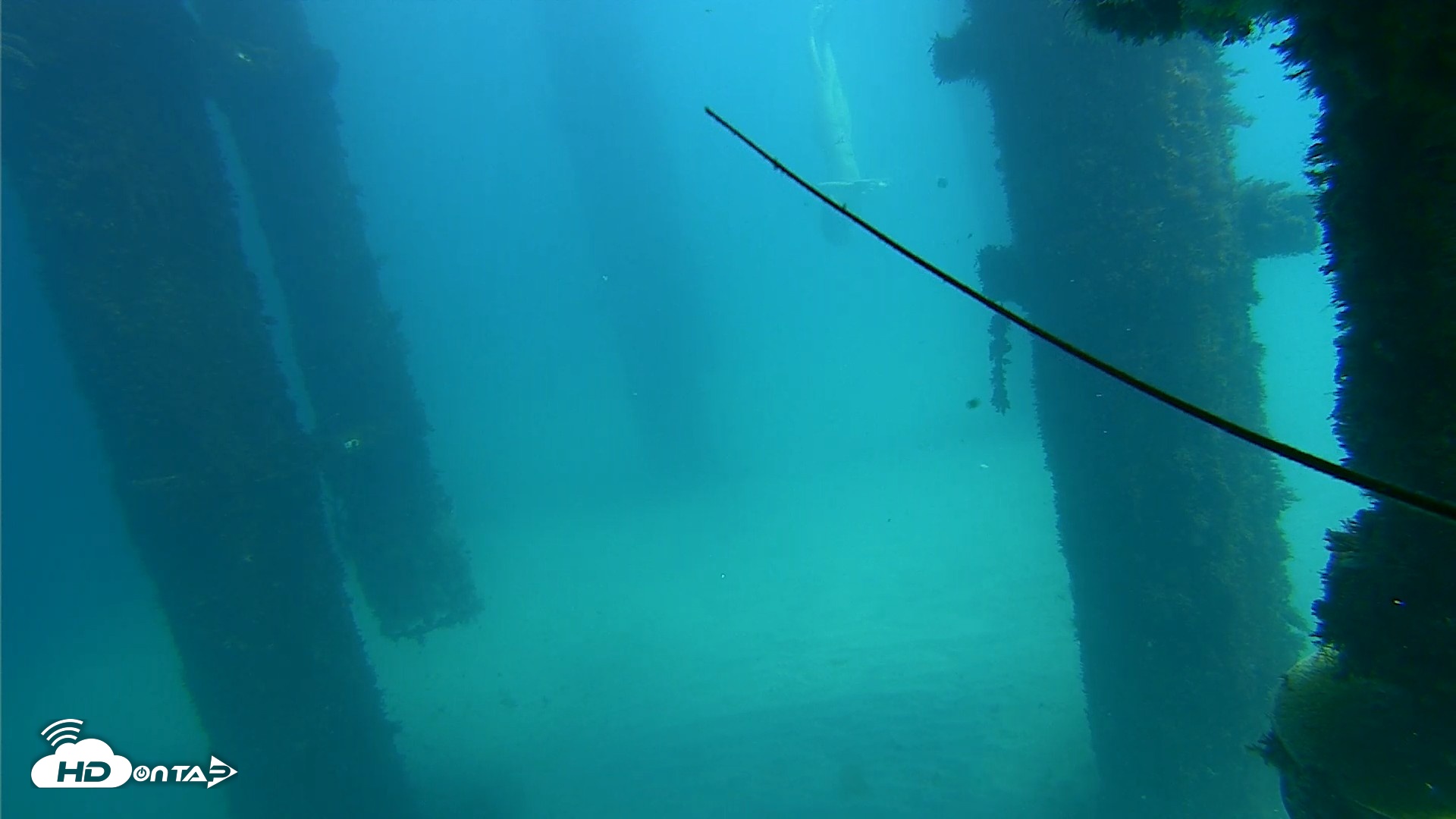 Snapshot of Scripps Pier Underwater Live Webcam taken Oct 6, 2026, 1:27pm PDT