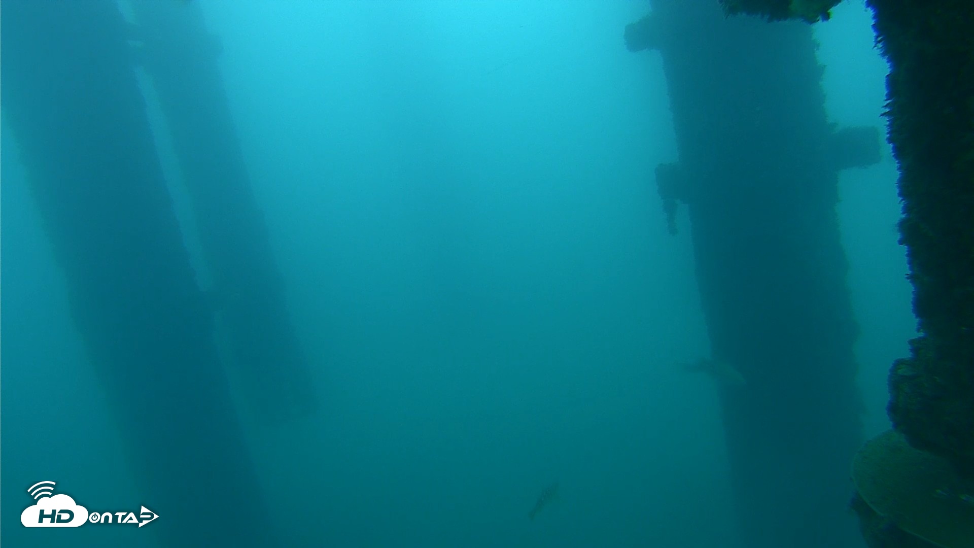 Snapshot of Scripps Pier Underwater Live Webcam taken Oct 13, 2026, 7:12am PDT