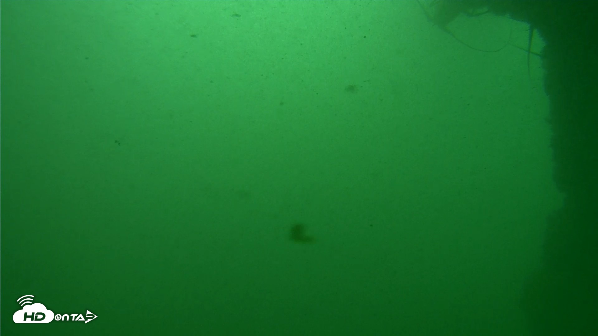 Snapshot of Scripps Pier Underwater Live Webcam taken Sep 29, 2026, 10:32am PDT