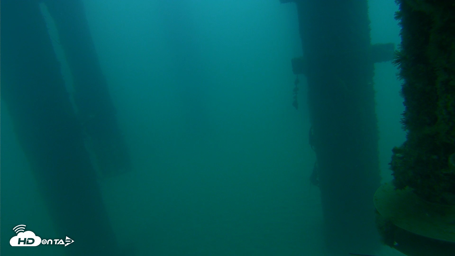 Snapshot of Scripps Pier Underwater Live Webcam taken Aug 23, 2026, 6:25am PDT