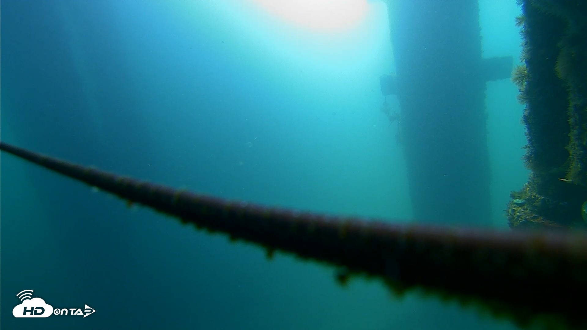 Snapshot of Scripps Pier Underwater Live Webcam taken Aug 16, 2026, 9:09am PDT