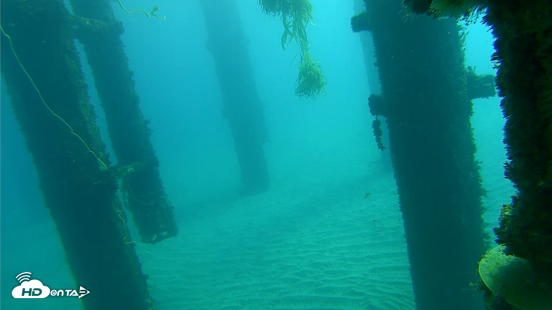 Snapshot of Scripps Pier Underwater Live Webcam taken Oct 17, 2026, 10:56am PDT