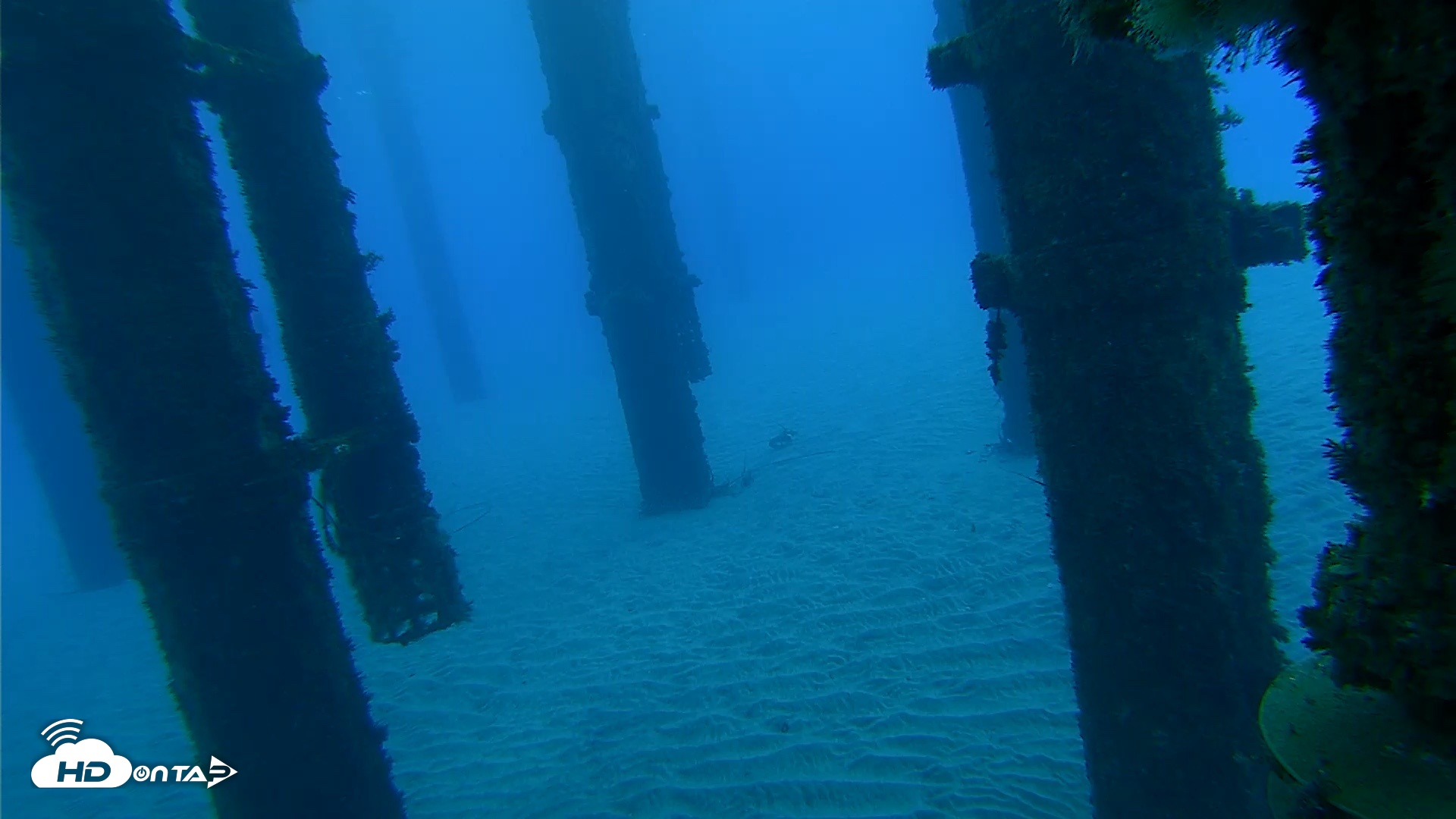 Snapshot of Scripps Pier Underwater Live Webcam taken Oct 18, 2026, 7:08am PDT