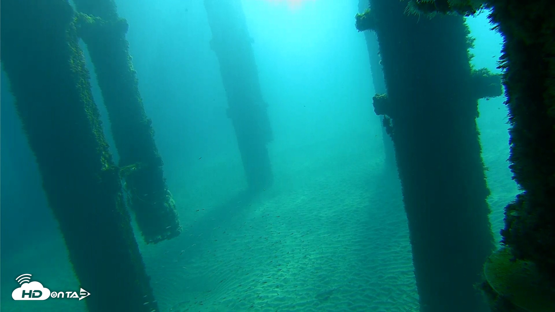 Snapshot of Scripps Pier Underwater Live Webcam taken Oct 7, 2026, 9:14am PDT