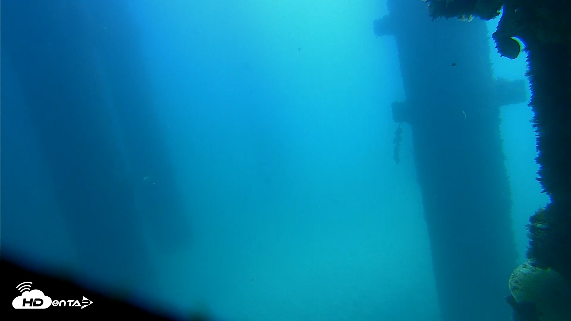 Snapshot of Scripps Pier Underwater Live Webcam taken Sep 17, 2026, 12:16pm PDT