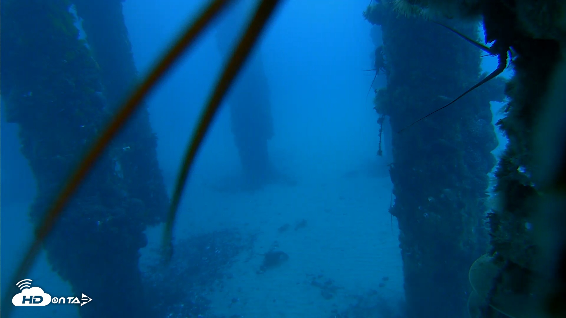 Snapshot of Scripps Pier Underwater Live Webcam taken Dec 9, 2025, 6:46am PST