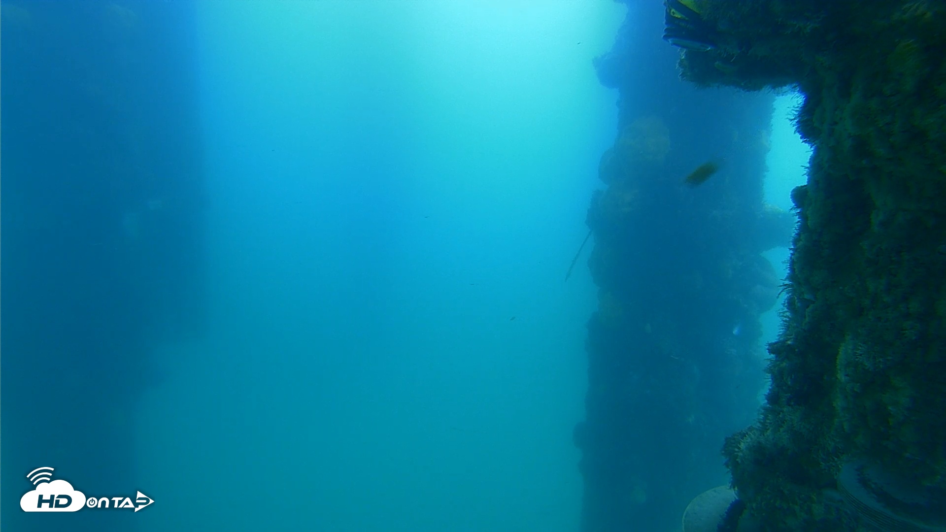 Snapshot of Scripps Pier Underwater Live Webcam taken Apr 24, 2025, 7:15am PDT