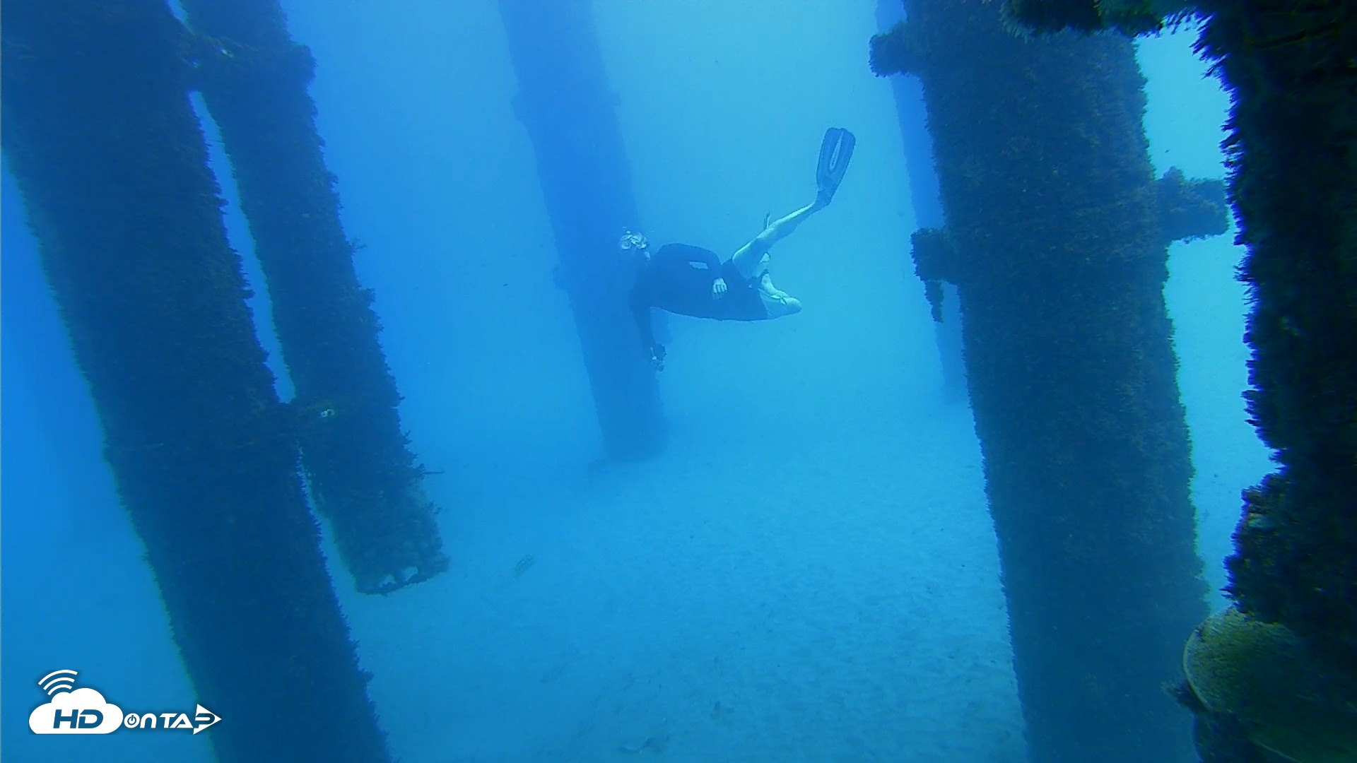 Snapshot of Scripps Pier Underwater Live Webcam taken Oct 7, 2026, 12:47pm PDT