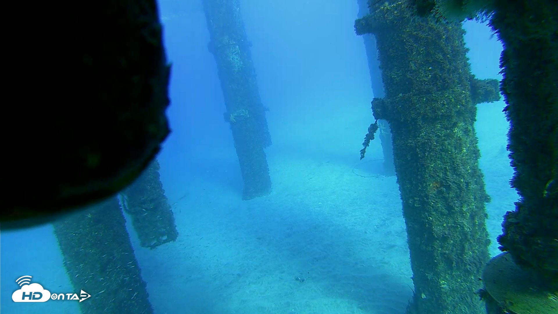 Snapshot of Scripps Pier Underwater Live Webcam taken Oct 18, 2026, 4:34pm PDT