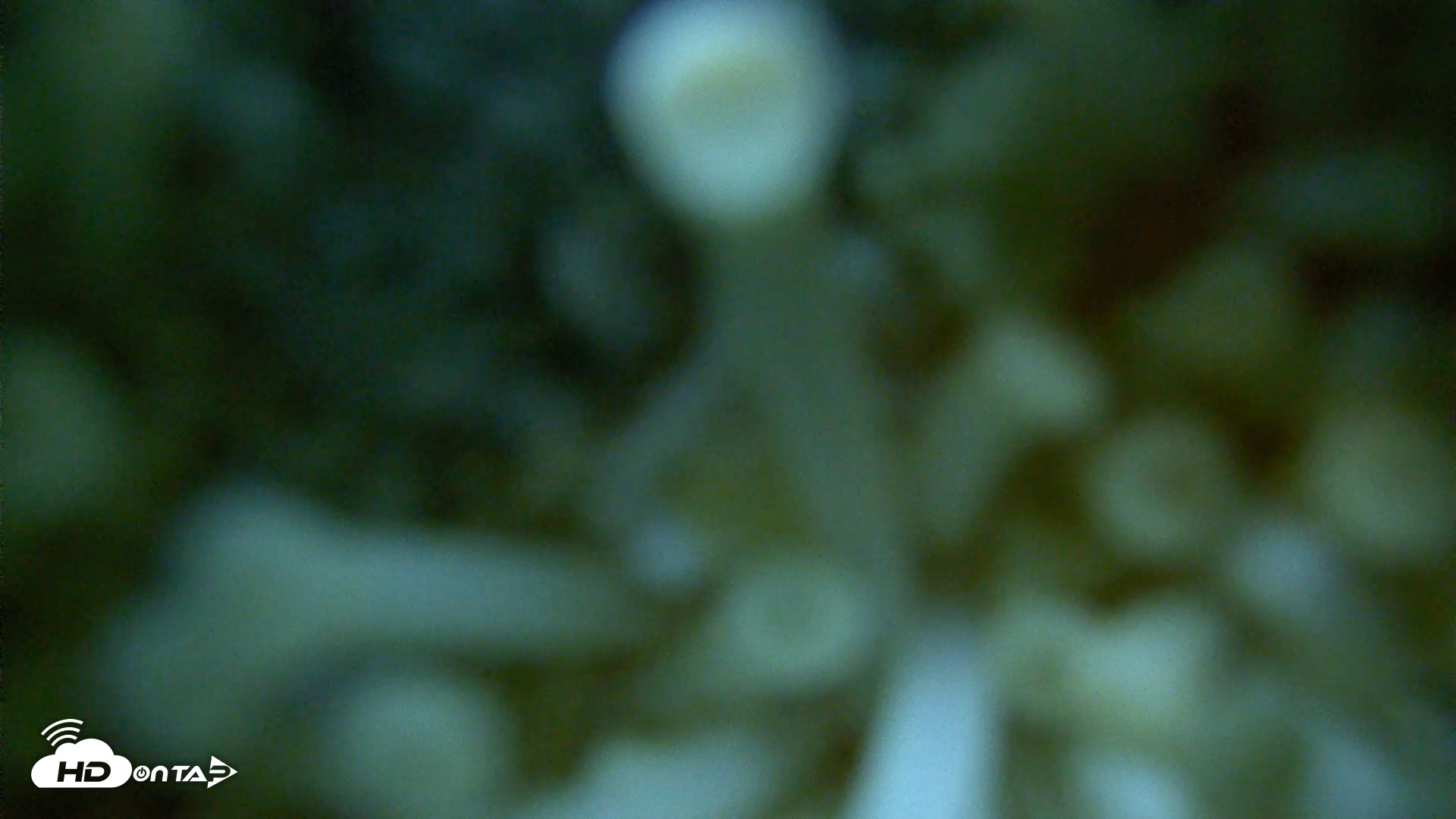 Snapshot of Scripps Pier Underwater Live Webcam taken Mar 18, 2026, 7:29am PDT