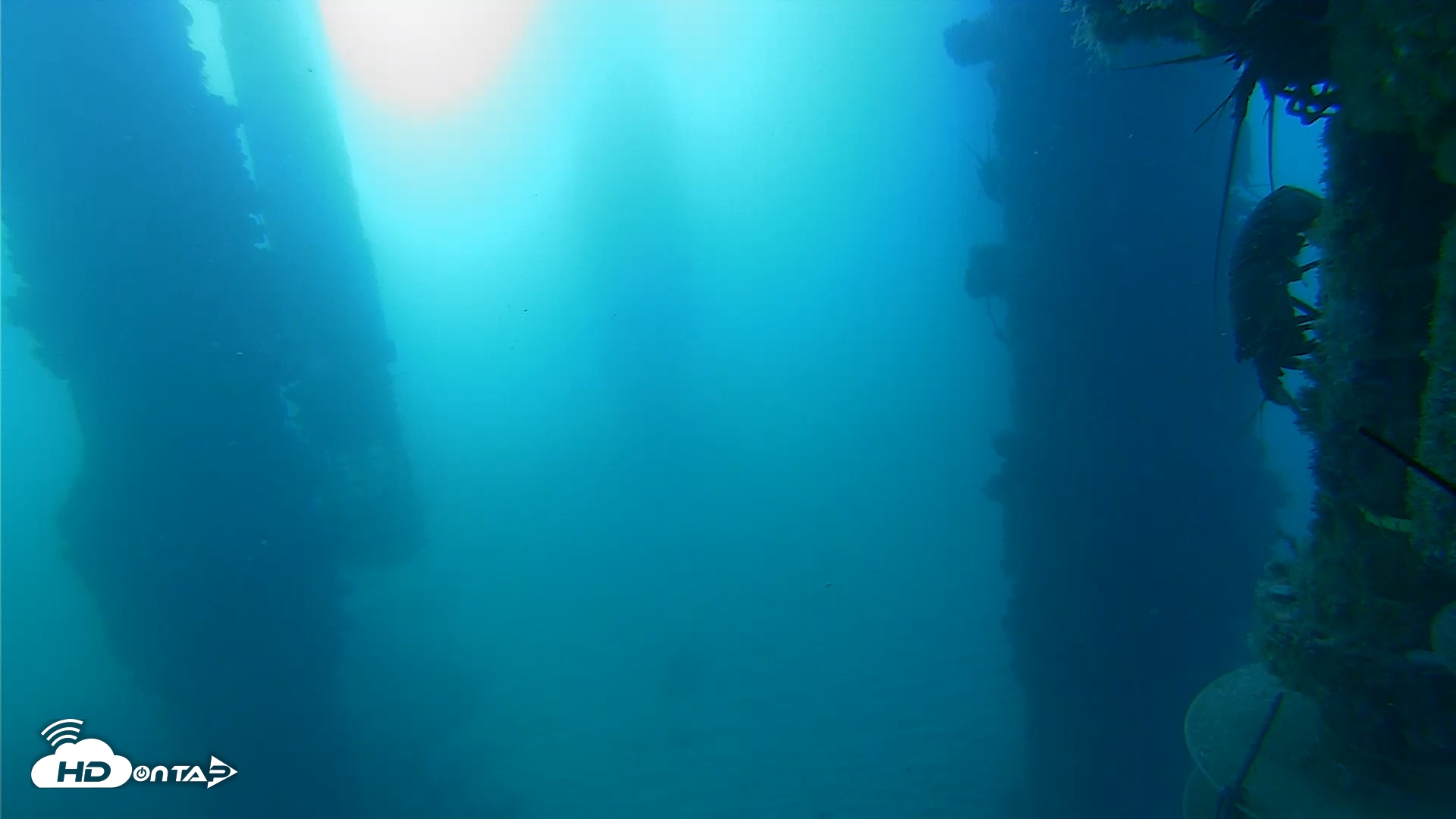 Snapshot of Scripps Pier Underwater Live Webcam taken Aug 27, 2025, 7:48am PDT