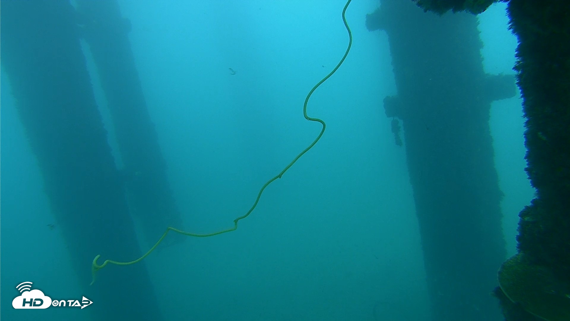 Snapshot of Scripps Pier Underwater Live Webcam taken Oct 1, 2026, 8:08am PDT