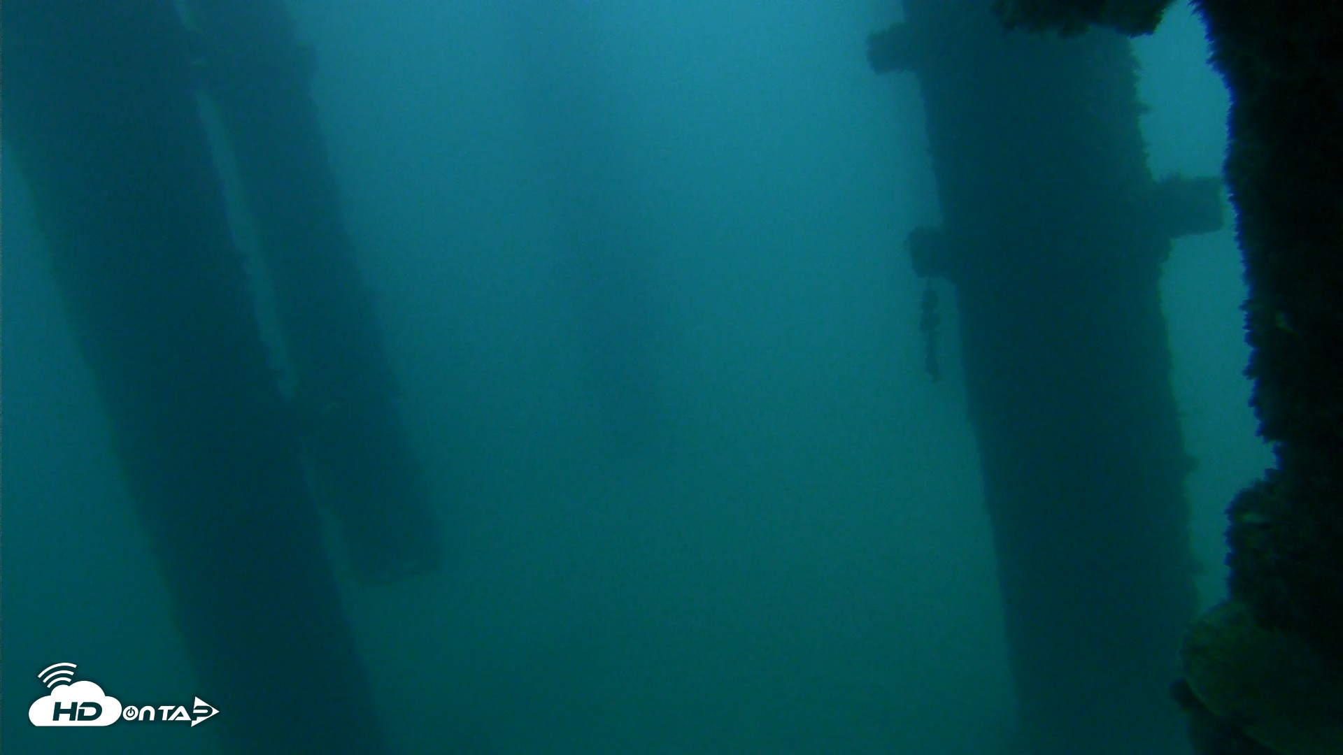 Snapshot of Scripps Pier Underwater Live Webcam taken Sep 22, 2026, 6:35am PDT