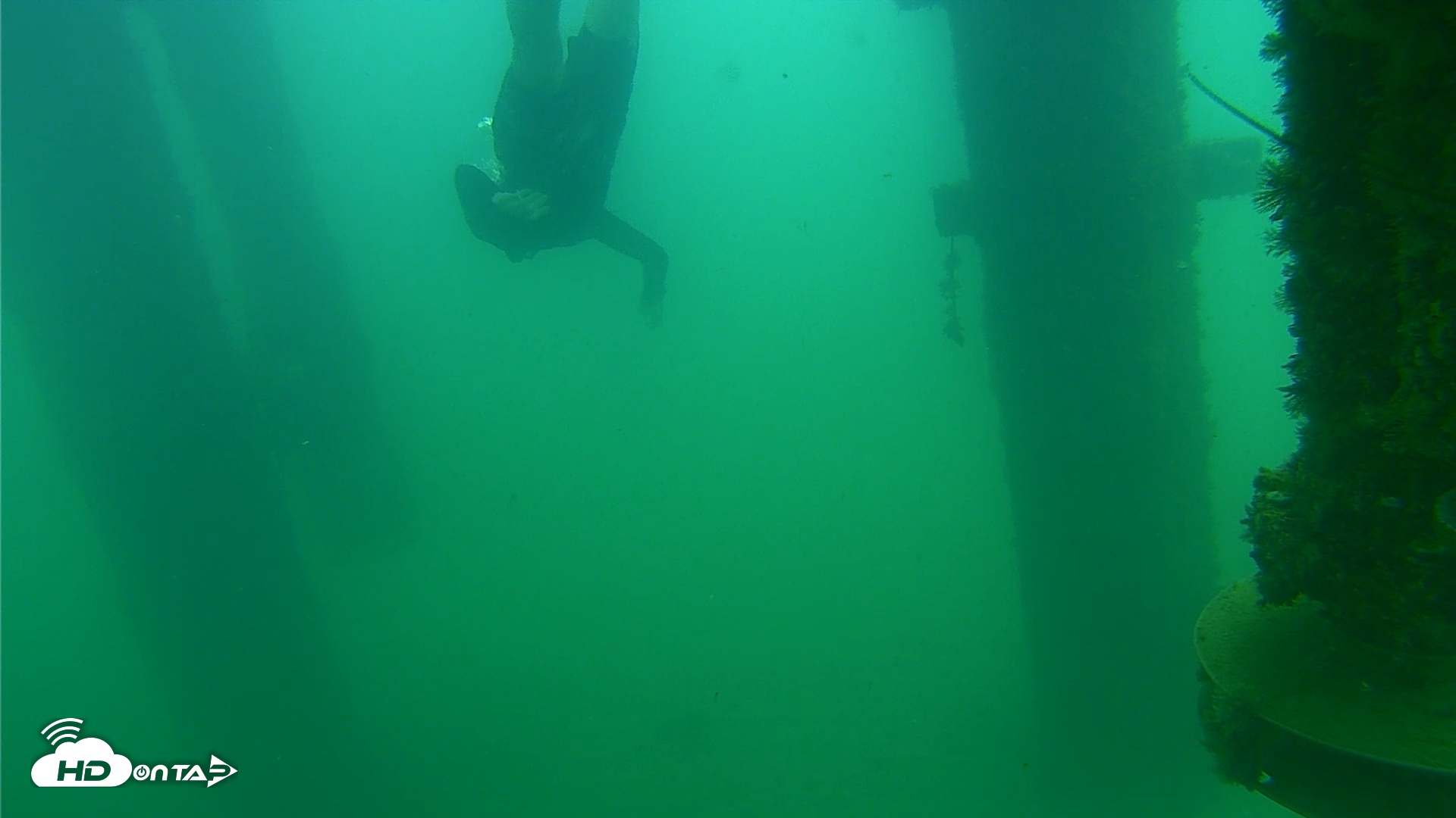 Snapshot of Scripps Pier Underwater Live Webcam taken Aug 22, 2026, 8:30am PDT
