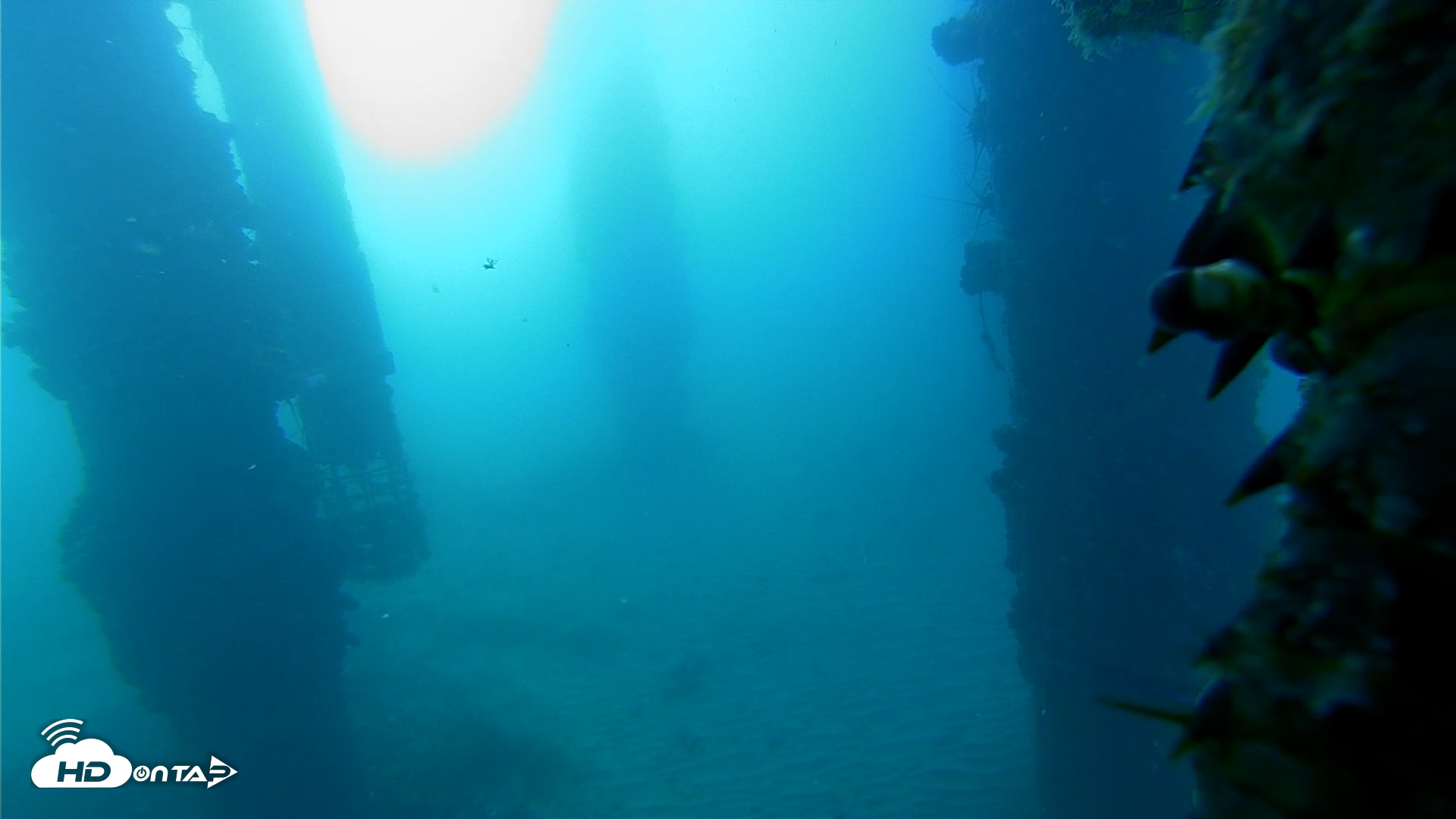 Snapshot of Scripps Pier Underwater Live Webcam taken Aug 31, 2025, 7:47am PDT