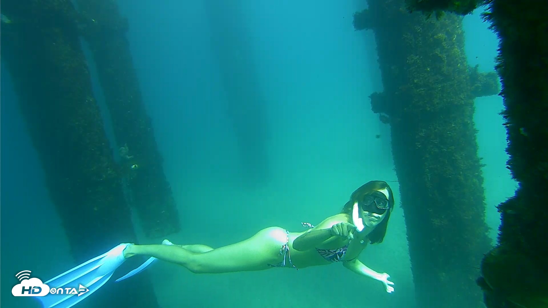 Snapshot of Scripps Pier Underwater Live Webcam taken Sep 24, 2026, 2:55pm PDT