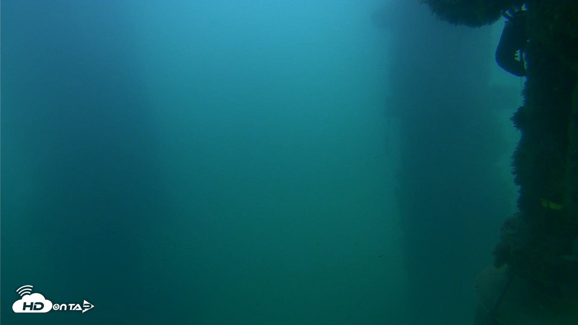 Snapshot of Scripps Pier Underwater Live Webcam taken Sep 23, 2025, 6:07pm PDT