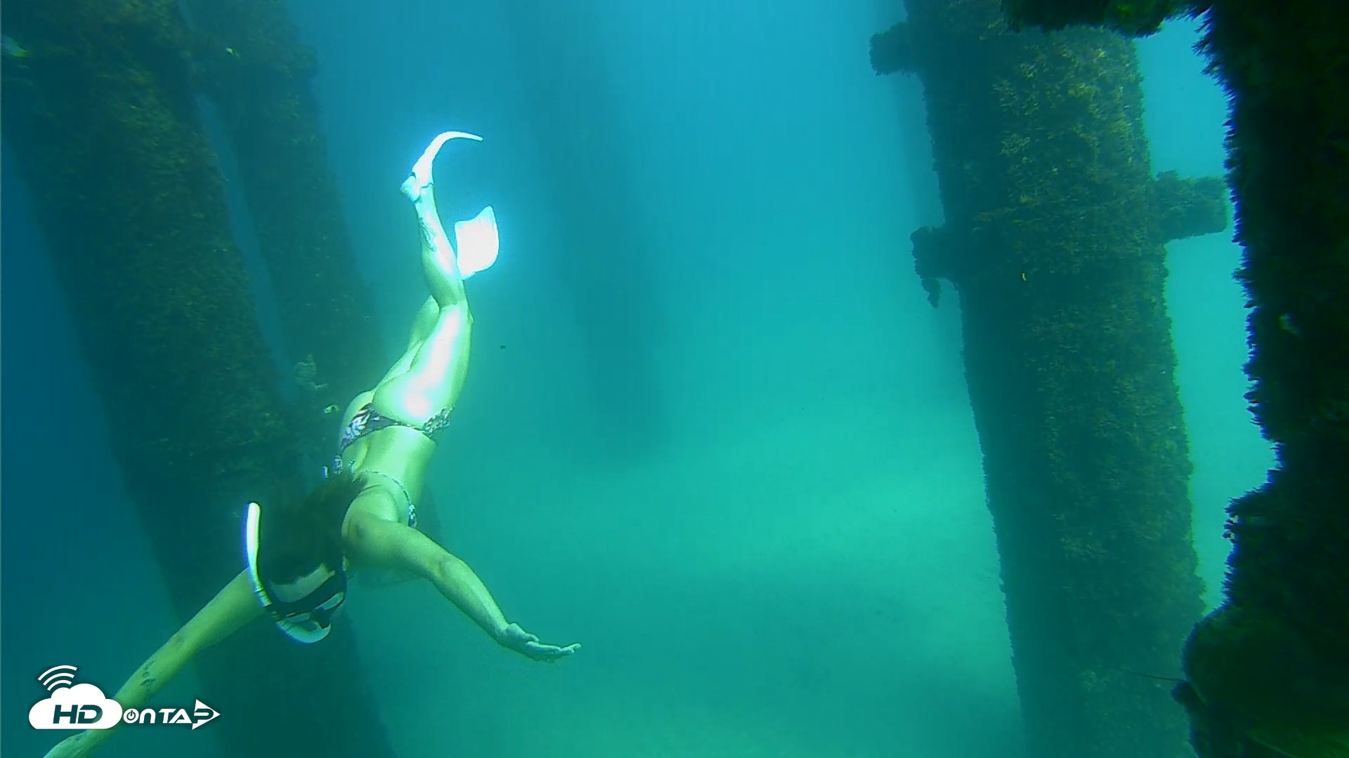 Snapshot of Scripps Pier Underwater Live Webcam taken Sep 24, 2026, 2:39pm PDT