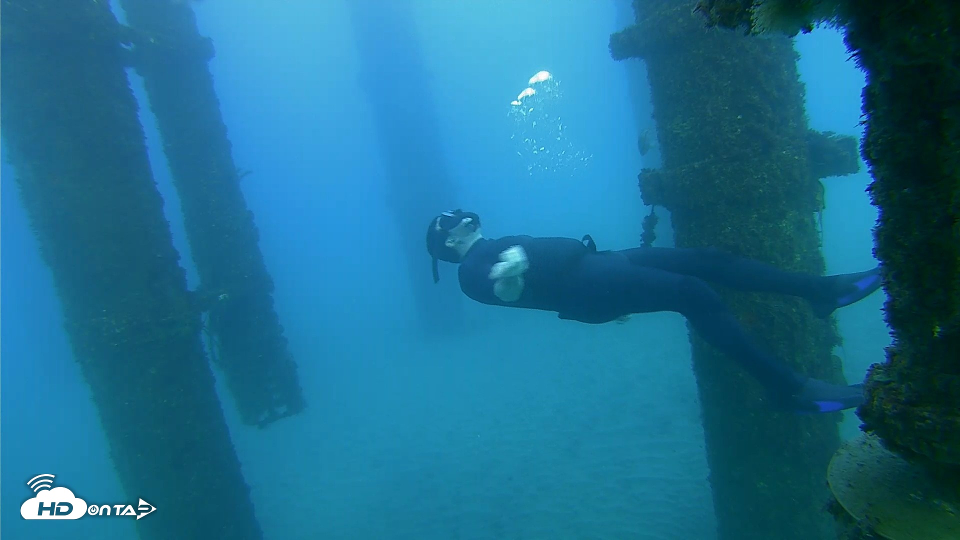 Snapshot of Scripps Pier Underwater Live Webcam taken Oct 19, 2026, 5:47pm PDT