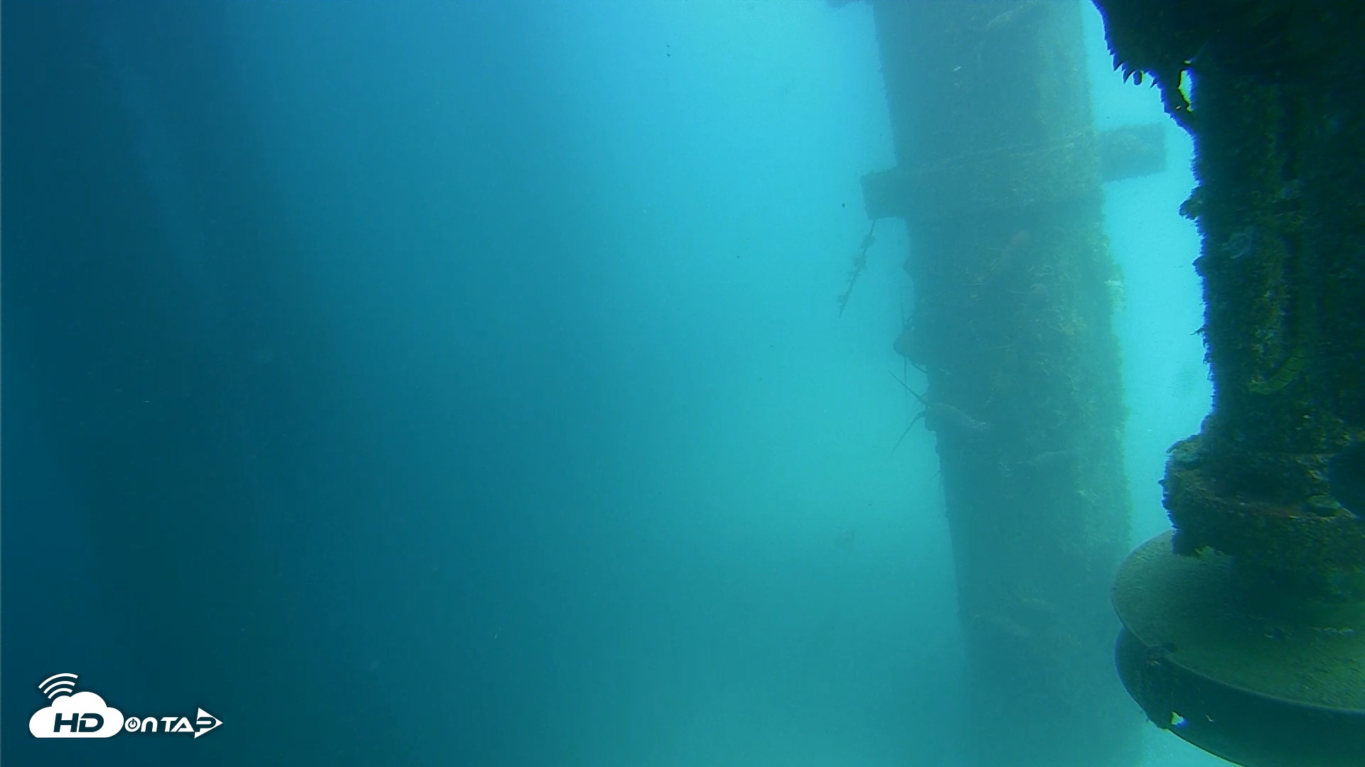 Snapshot of Scripps Pier Underwater Live Webcam taken Jul 25, 2026, 1:52pm PDT