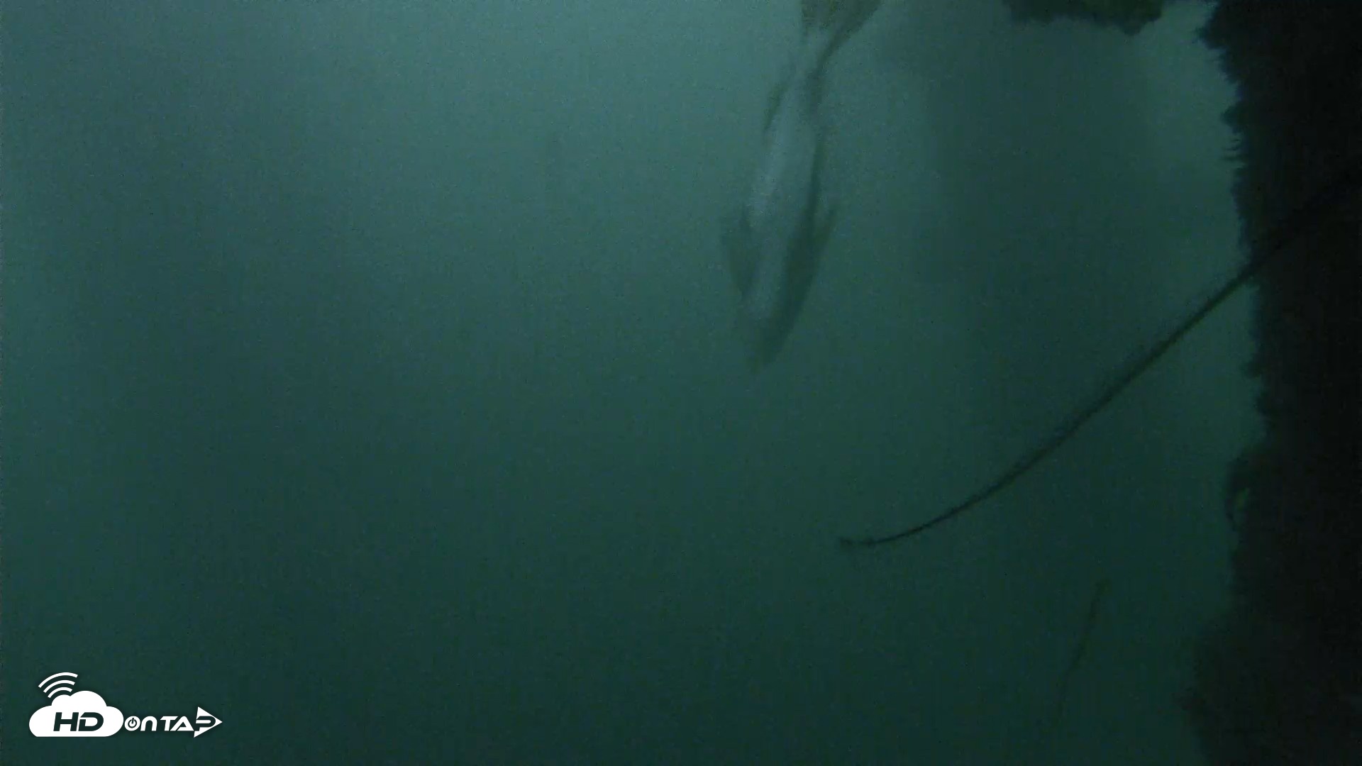 Snapshot of Scripps Pier Underwater Live Webcam taken Oct 12, 2026, 6:39am PDT