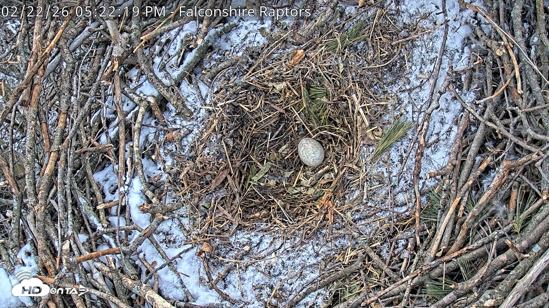 Snapshot of West Michigan Eagles Nest Live Cam taken Feb 22, 2026, 5:24pm EST