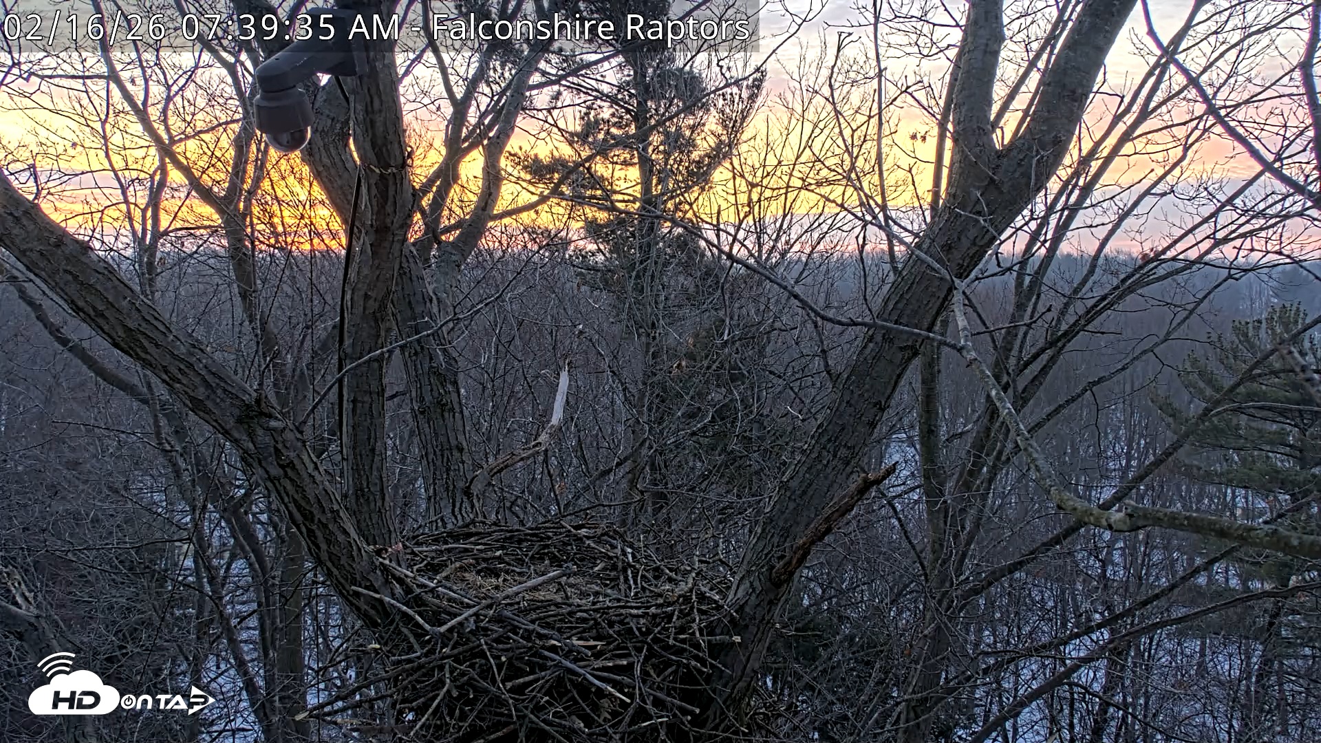 Snapshot of West Michigan Eagles Nest Live Cam taken Feb 16, 2026, 7:40am EST