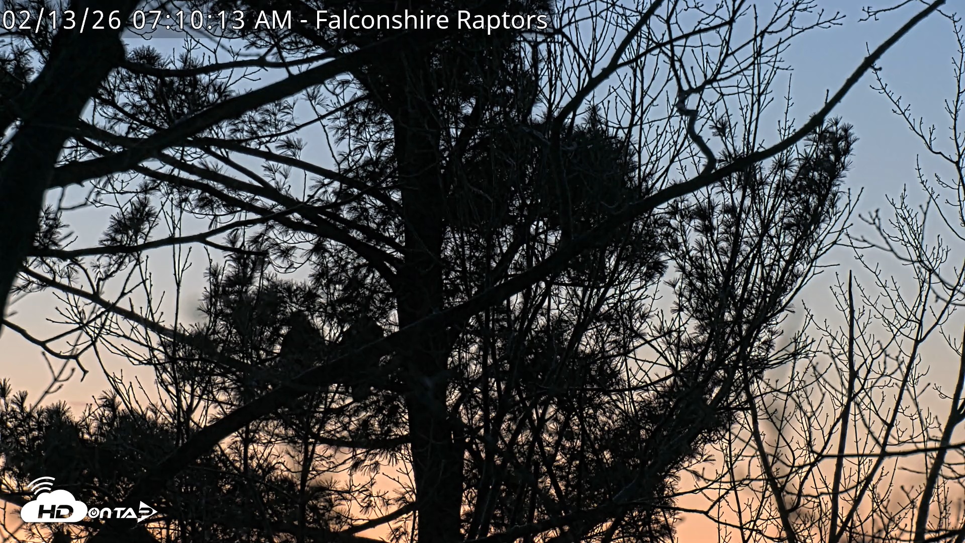 Snapshot of West Michigan Eagles Nest Live Cam taken Feb 13, 2026, 7:10am EST