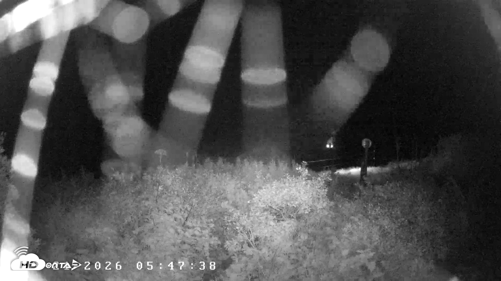 Snapshot of Kodiak Alaska Frazer Weather Live Cam taken Sep 21, 2026, 5:45am AKDT