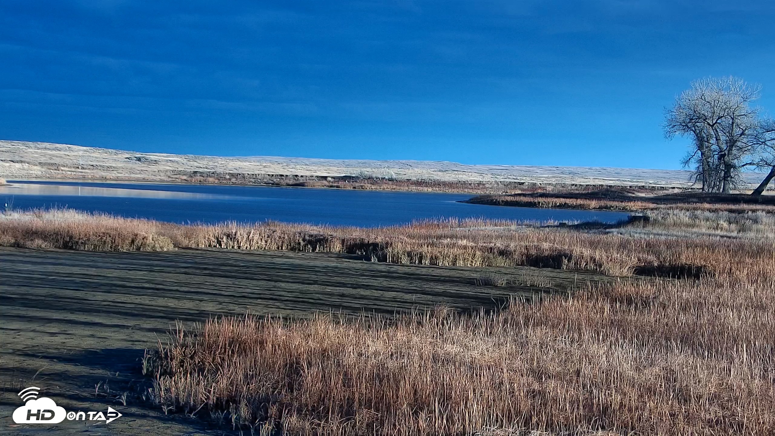 Snapshot of American Prairie Montana Bison Live Cam taken Nov 15, 2025, 3:42pm MST