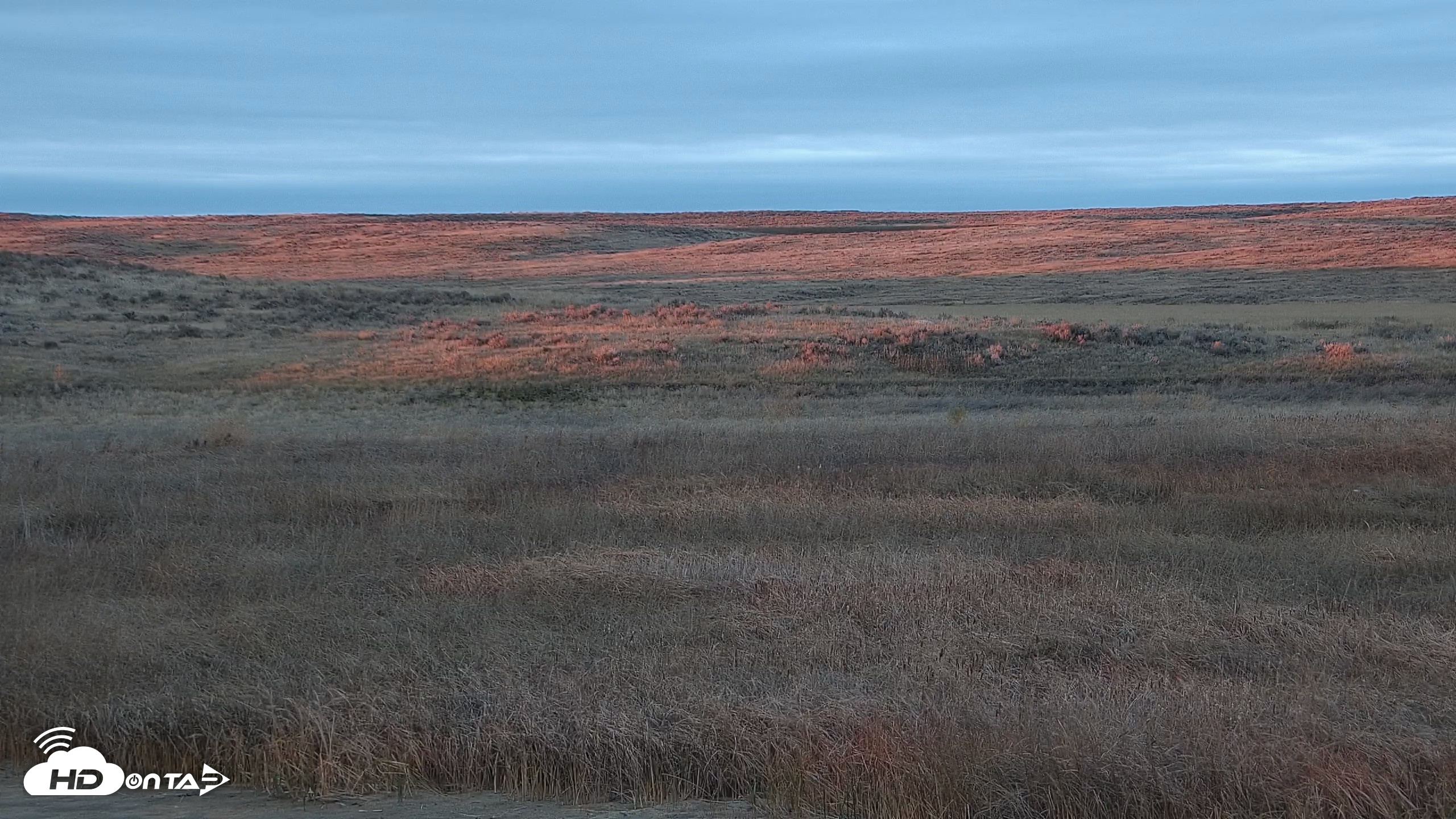 Snapshot of American Prairie Montana Bison Live Cam taken Oct 26, 2026, 5:56pm MDT