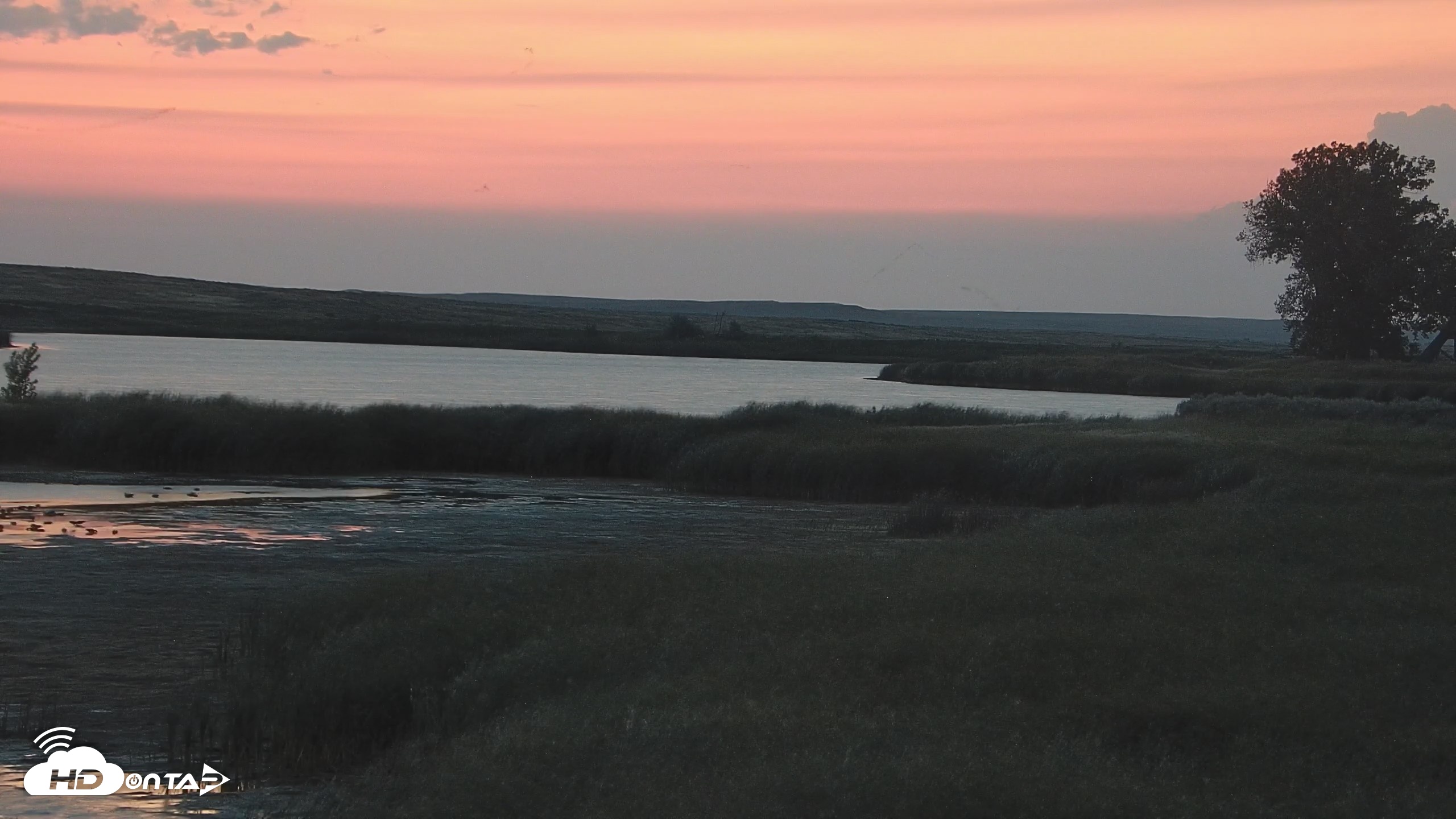 Snapshot of American Prairie Montana Bison Live Cam taken Aug 24, 2026, 5:55am MDT