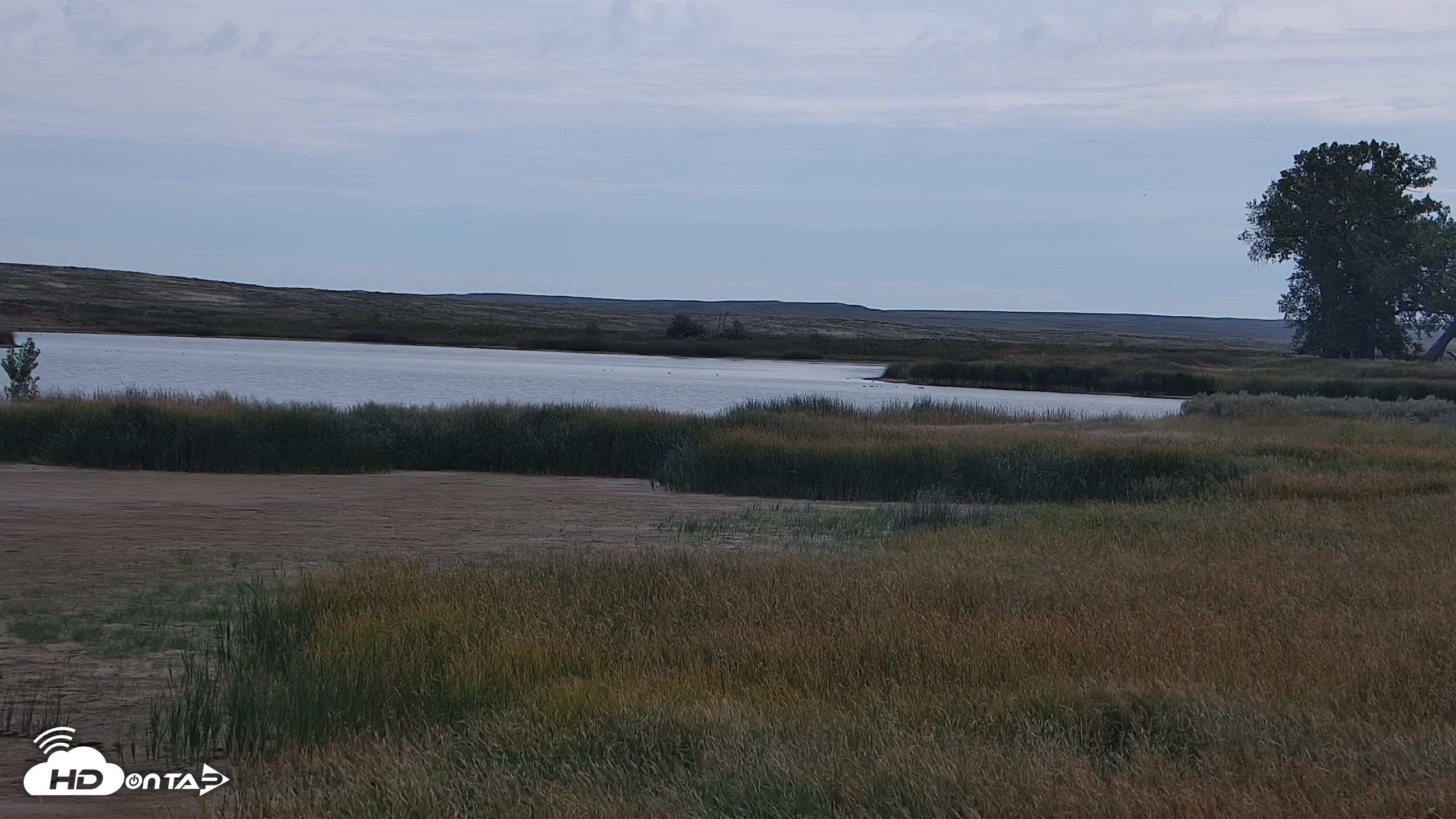 Snapshot of American Prairie Montana Bison Live Cam taken Sep 23, 2026, 11:24am MDT