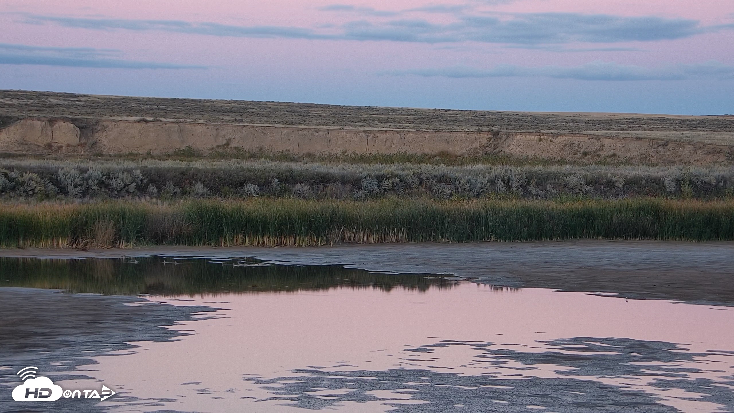 Snapshot of American Prairie Montana Bison Live Cam taken Sep 21, 2026, 7:17pm MDT