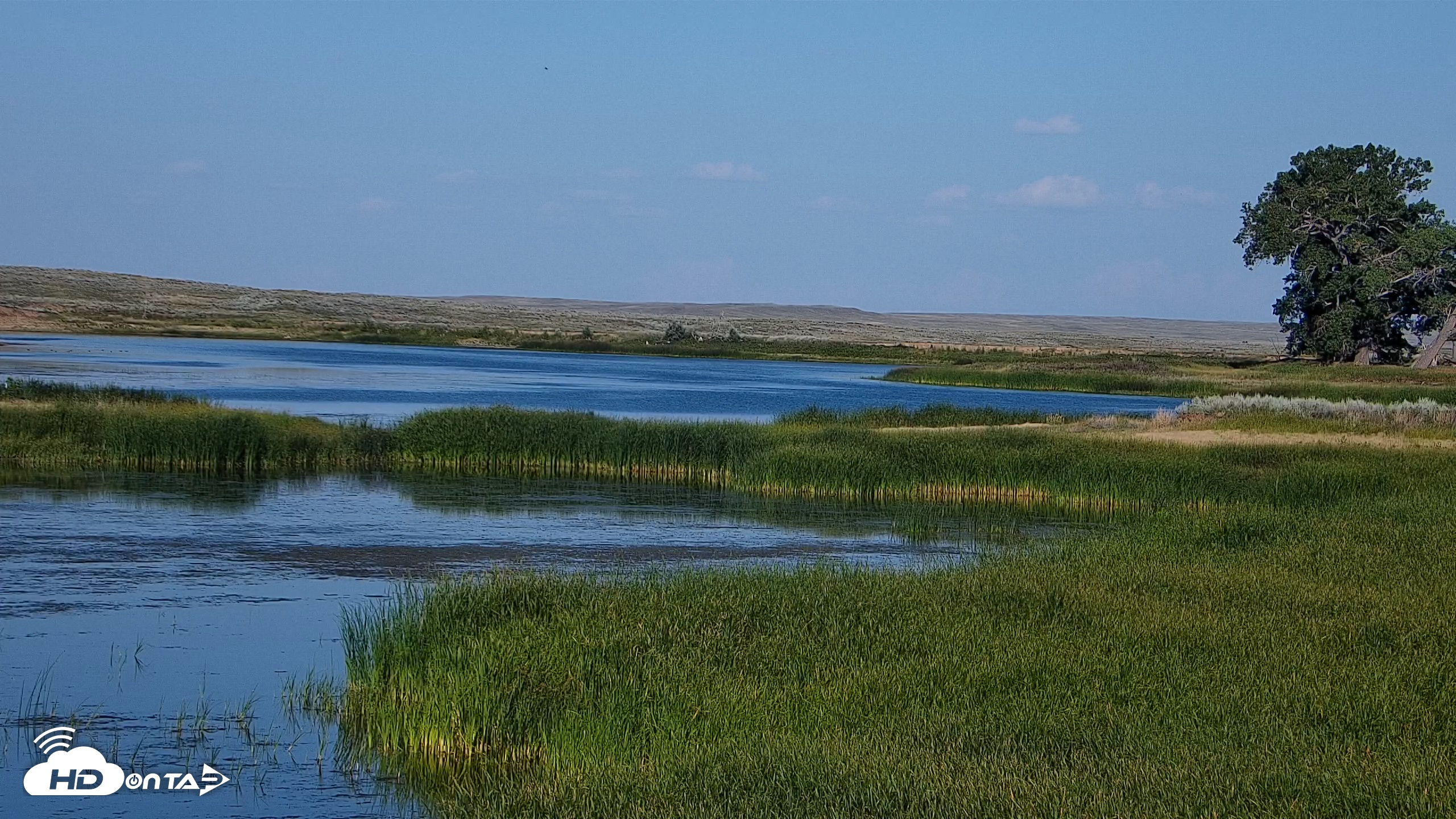 Snapshot of American Prairie Montana Bison Live Cam taken Jul 24, 2025, 6:24pm MDT