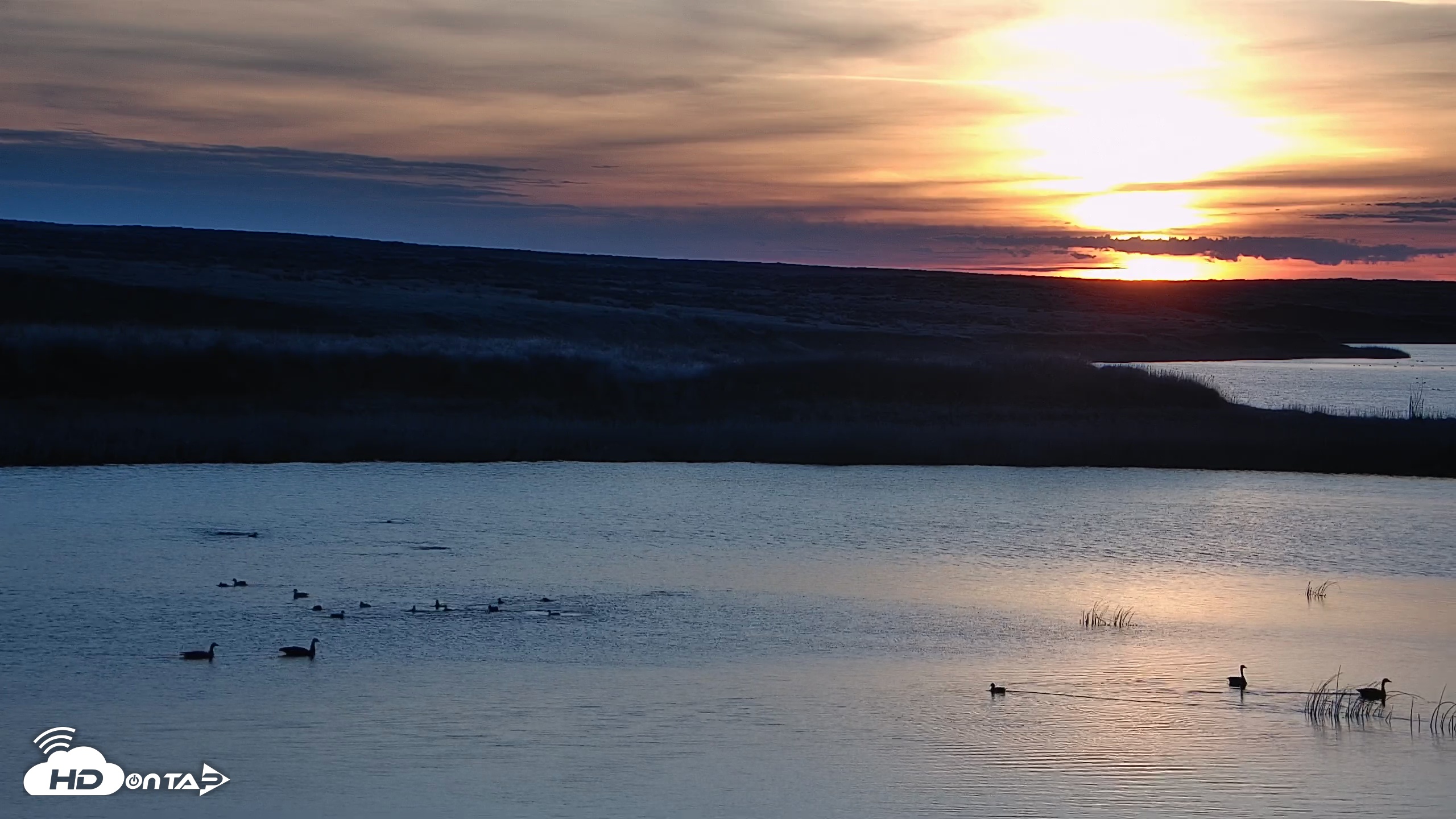 Snapshot of American Prairie Montana Bison Live Cam taken Apr 7, 2026, 6:45am MDT